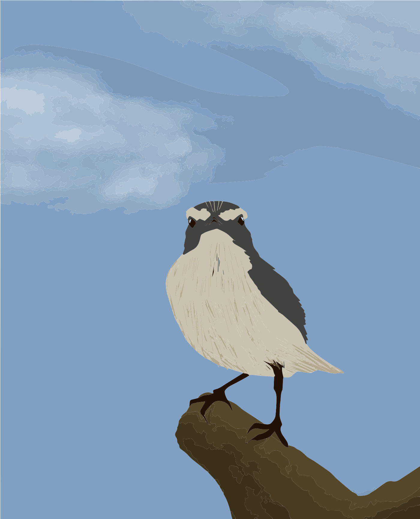 青空を背景に枝に止まる鳥。