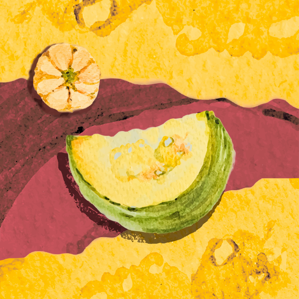 Photo by dilettadavolio