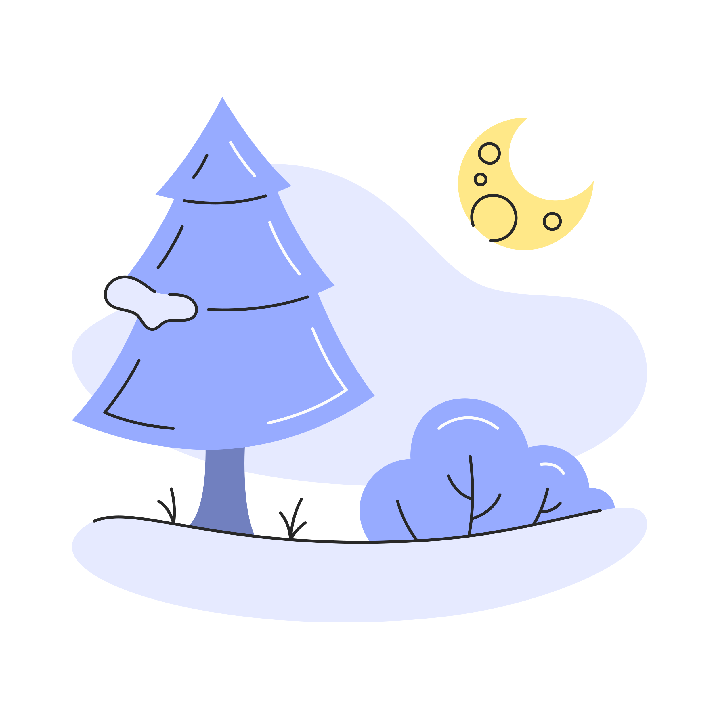 Photo by yob_any_thing