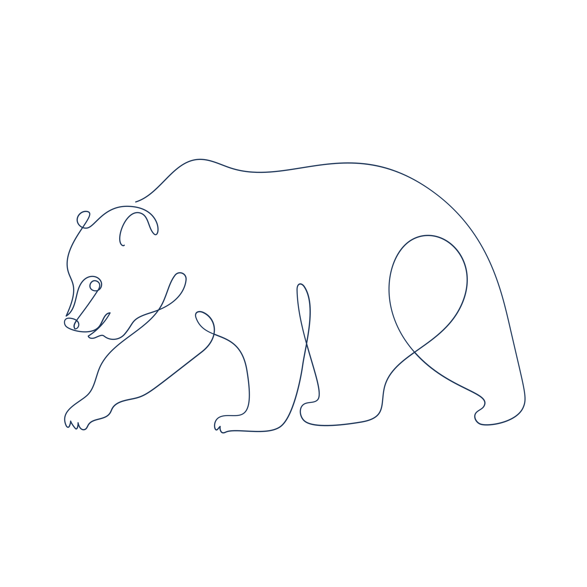 A minimalist line drawing of a bear walking.