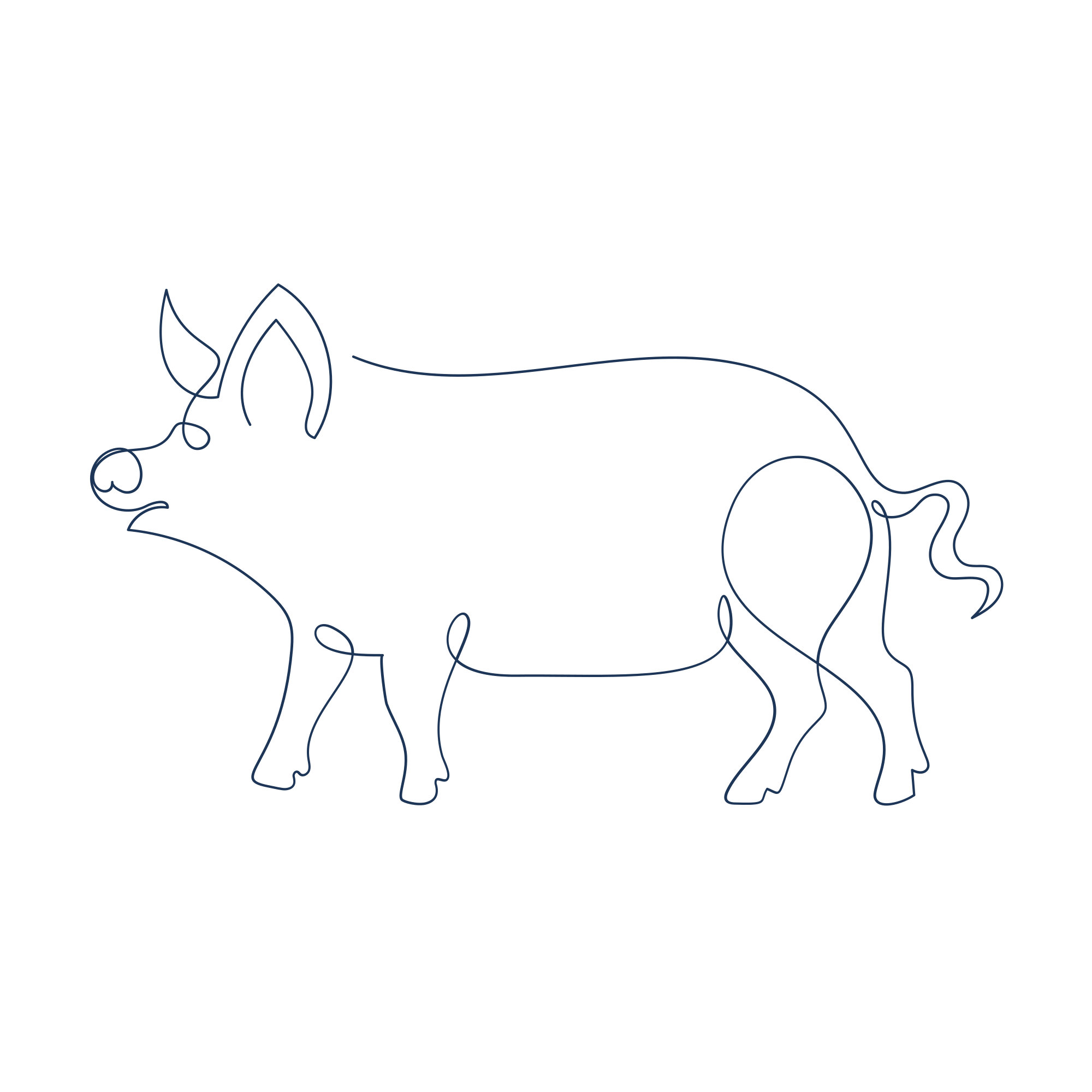 Photo by annamagenta82