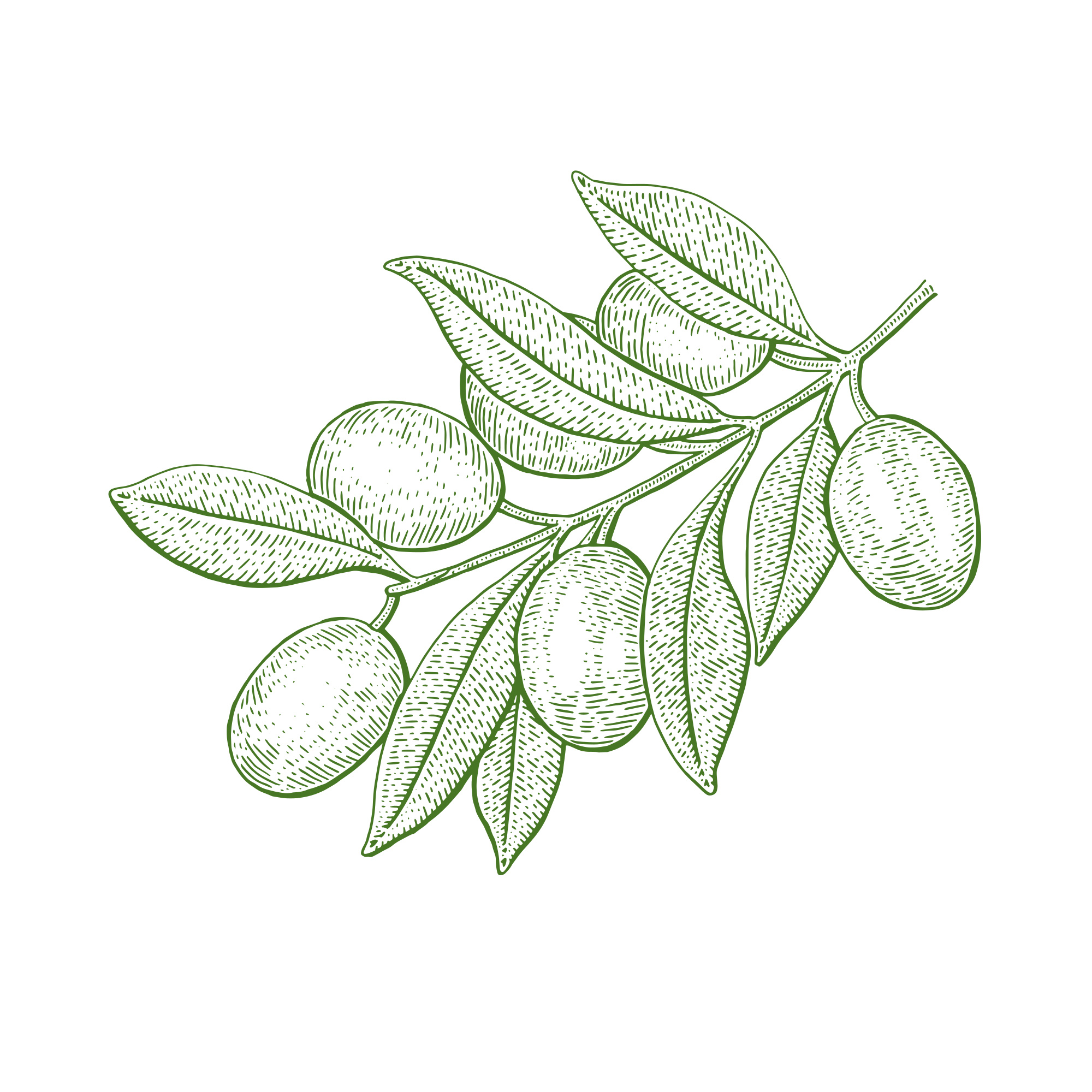 Photo by annamagenta82