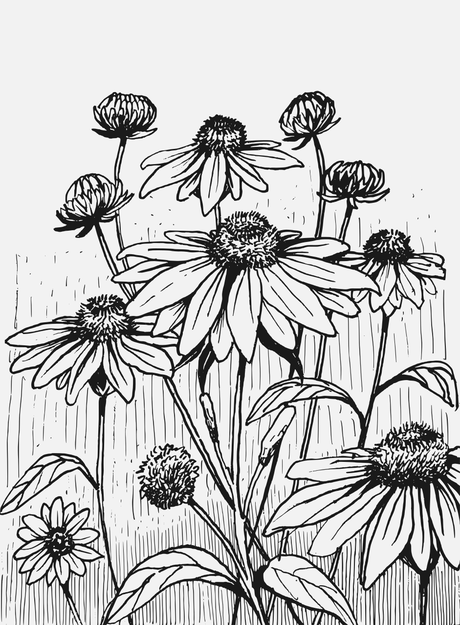 Photo by milaoktasafitri