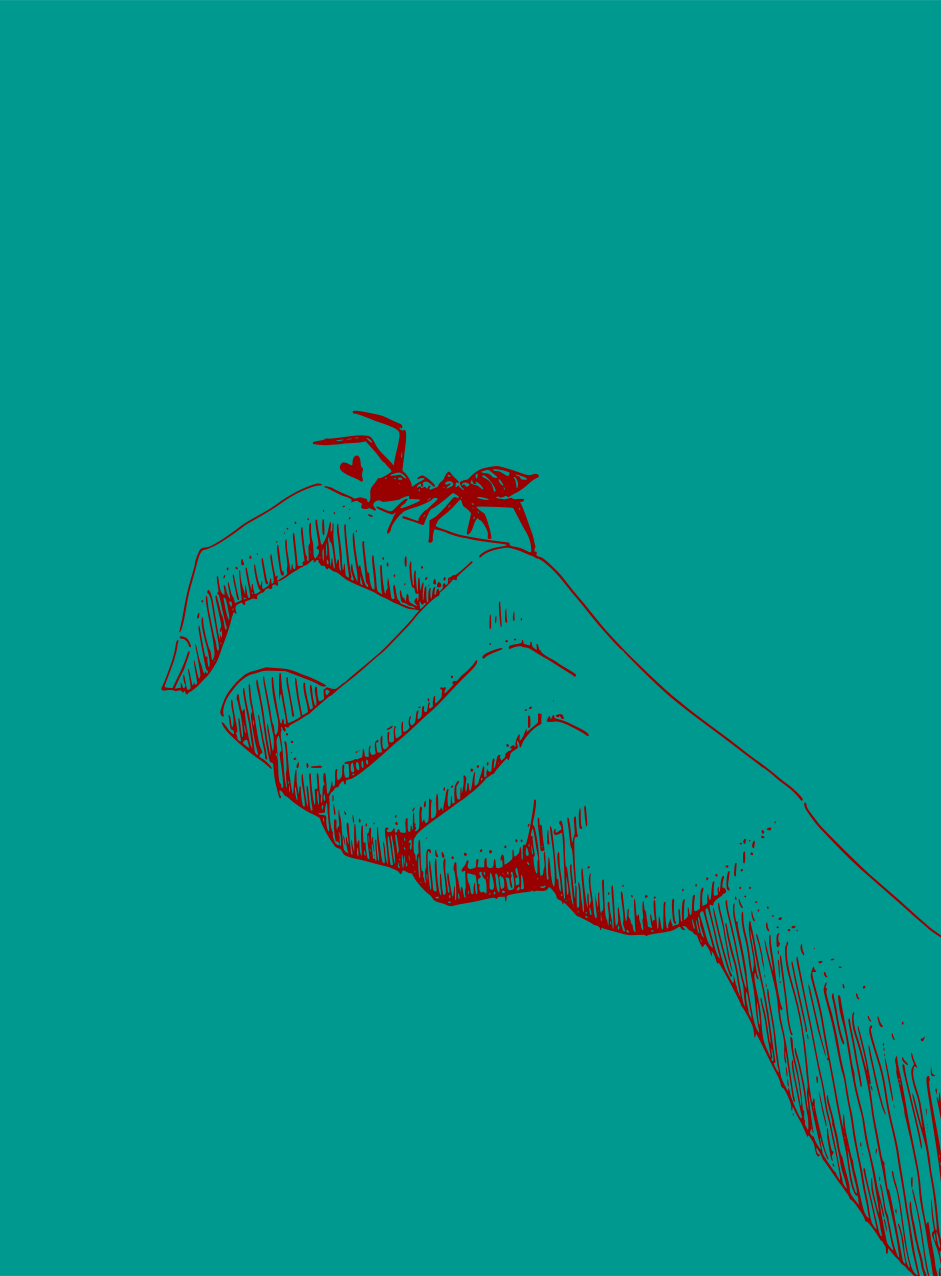 Red ant on a hand against teal background