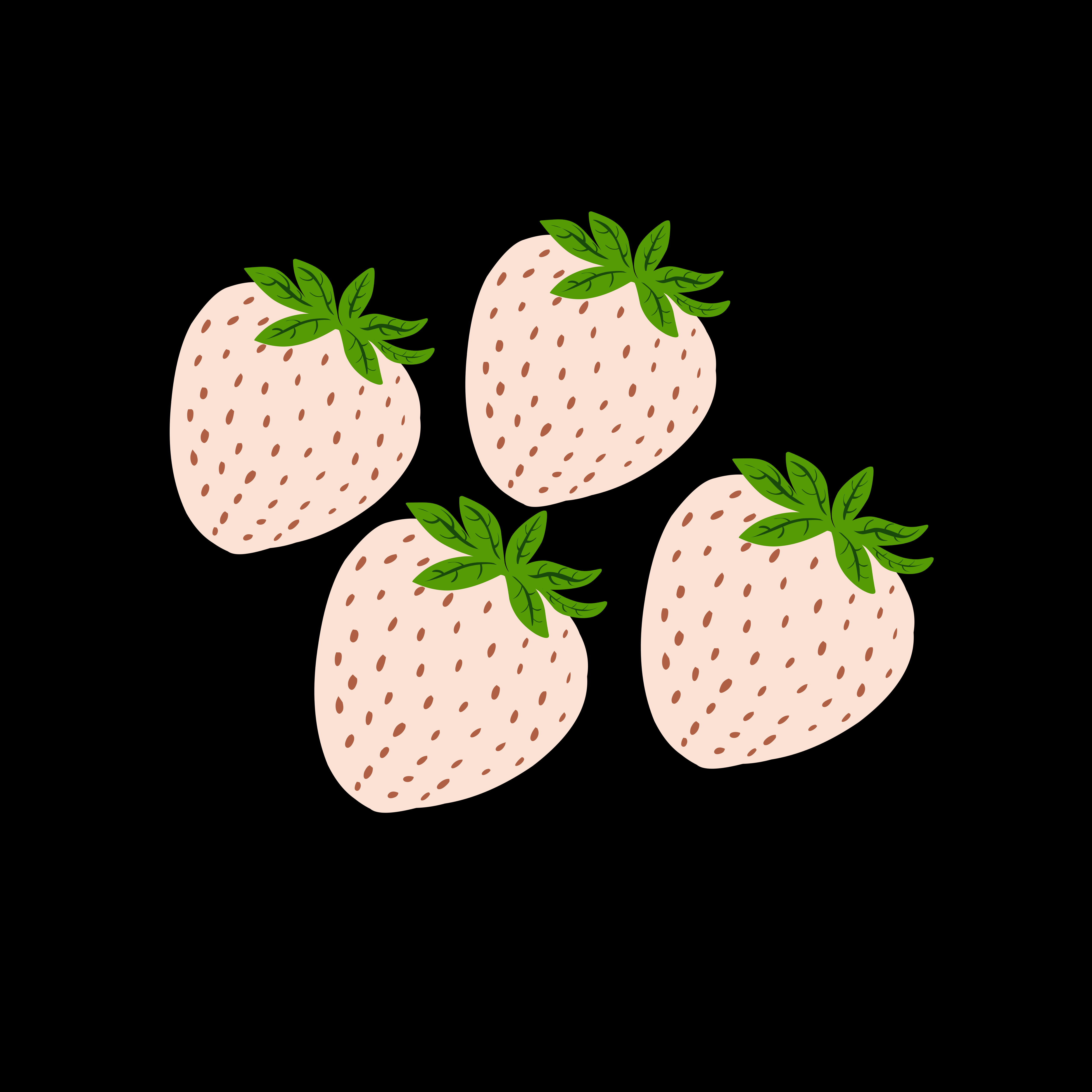 Quatre fraises blanches aux feuilles vertes vectoriel – Image gratuite de  Fond d'écran sur Unsplash, image size:3000x3000