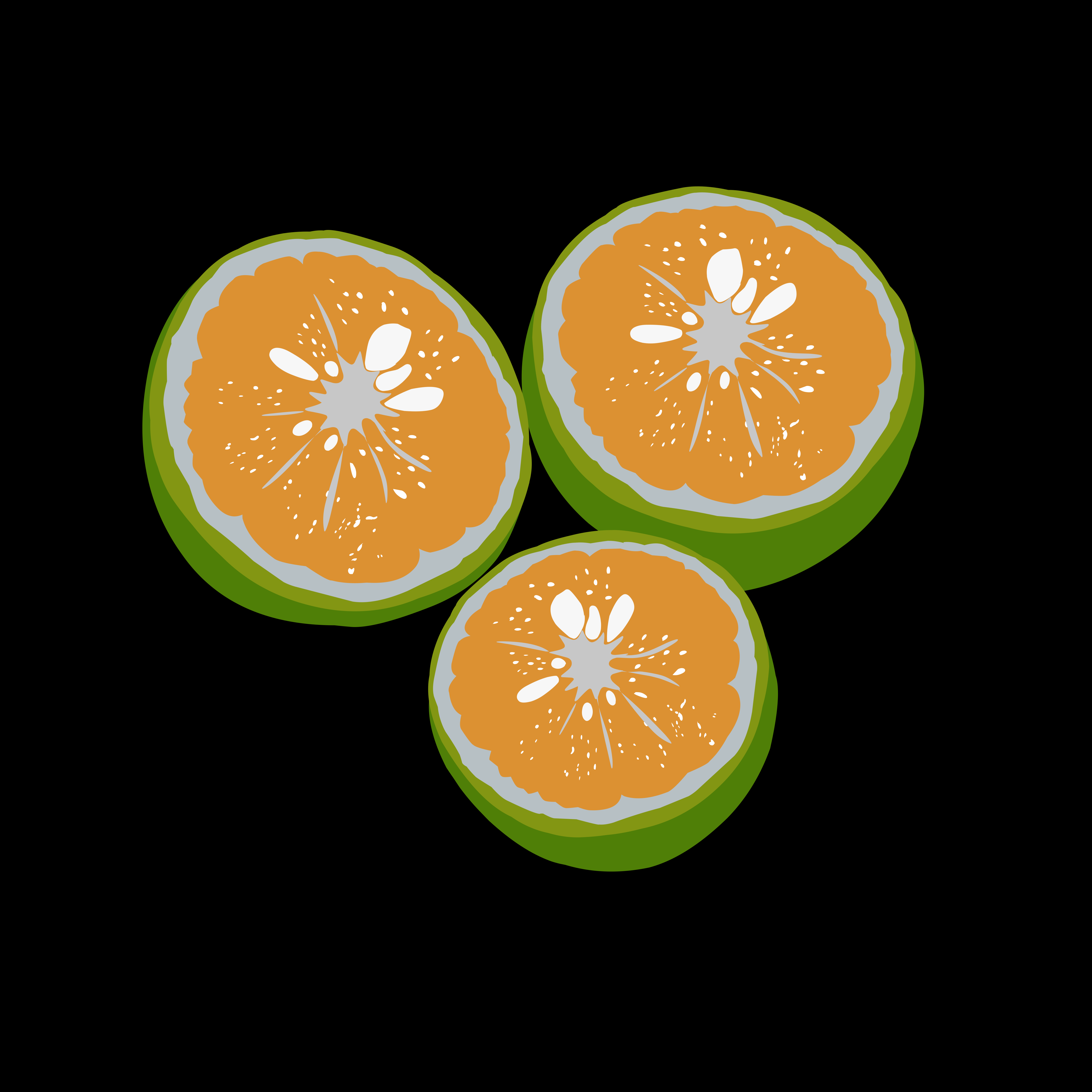 Three sliced oranges on a black background