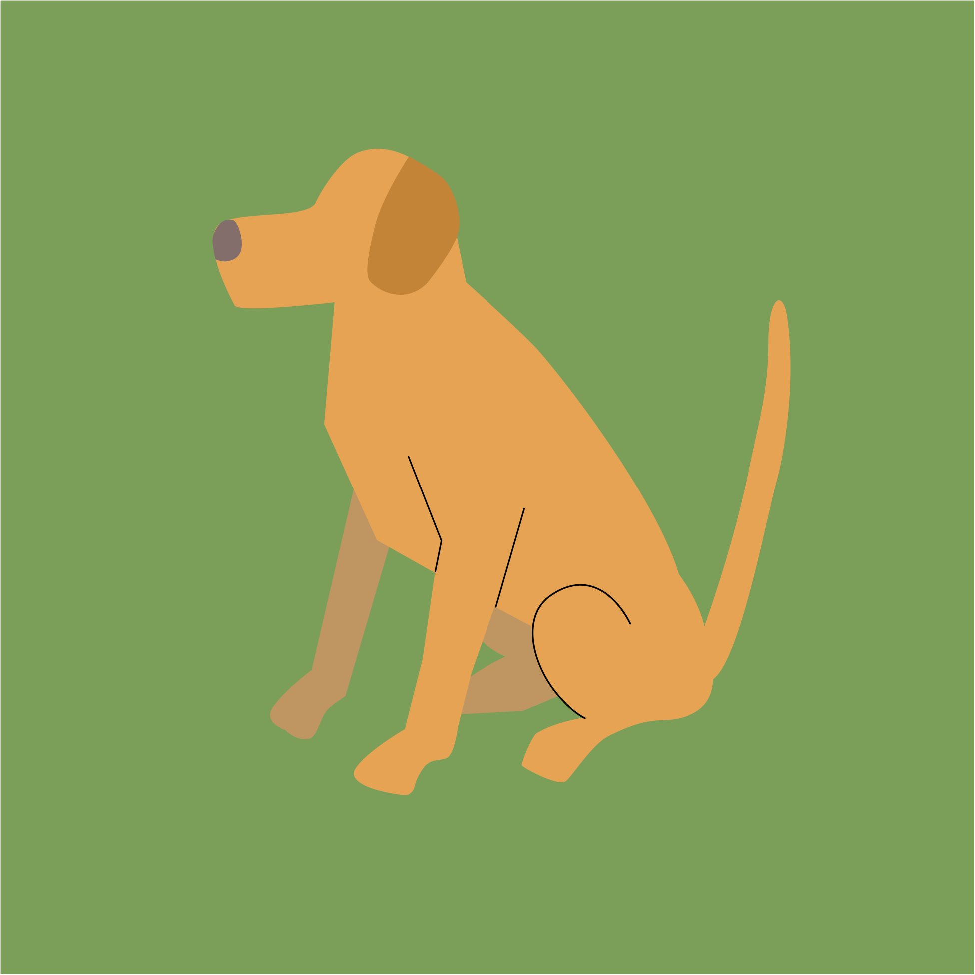 A cartoon dog sitting on a green background