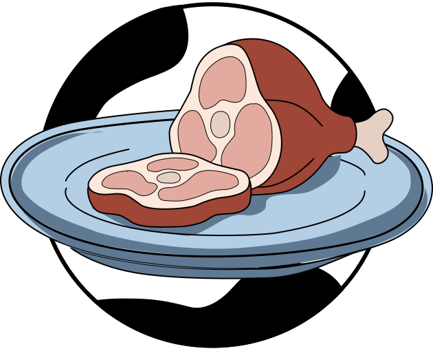 Raw meat cuts on a blue plate