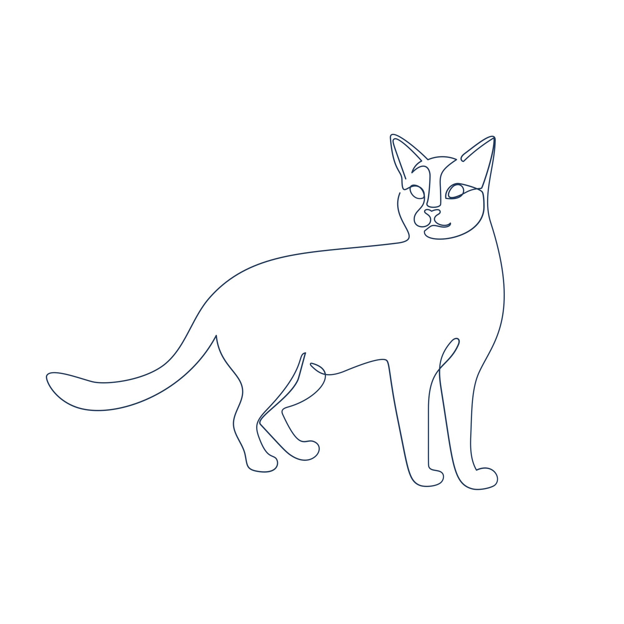 Photo by annamagenta82