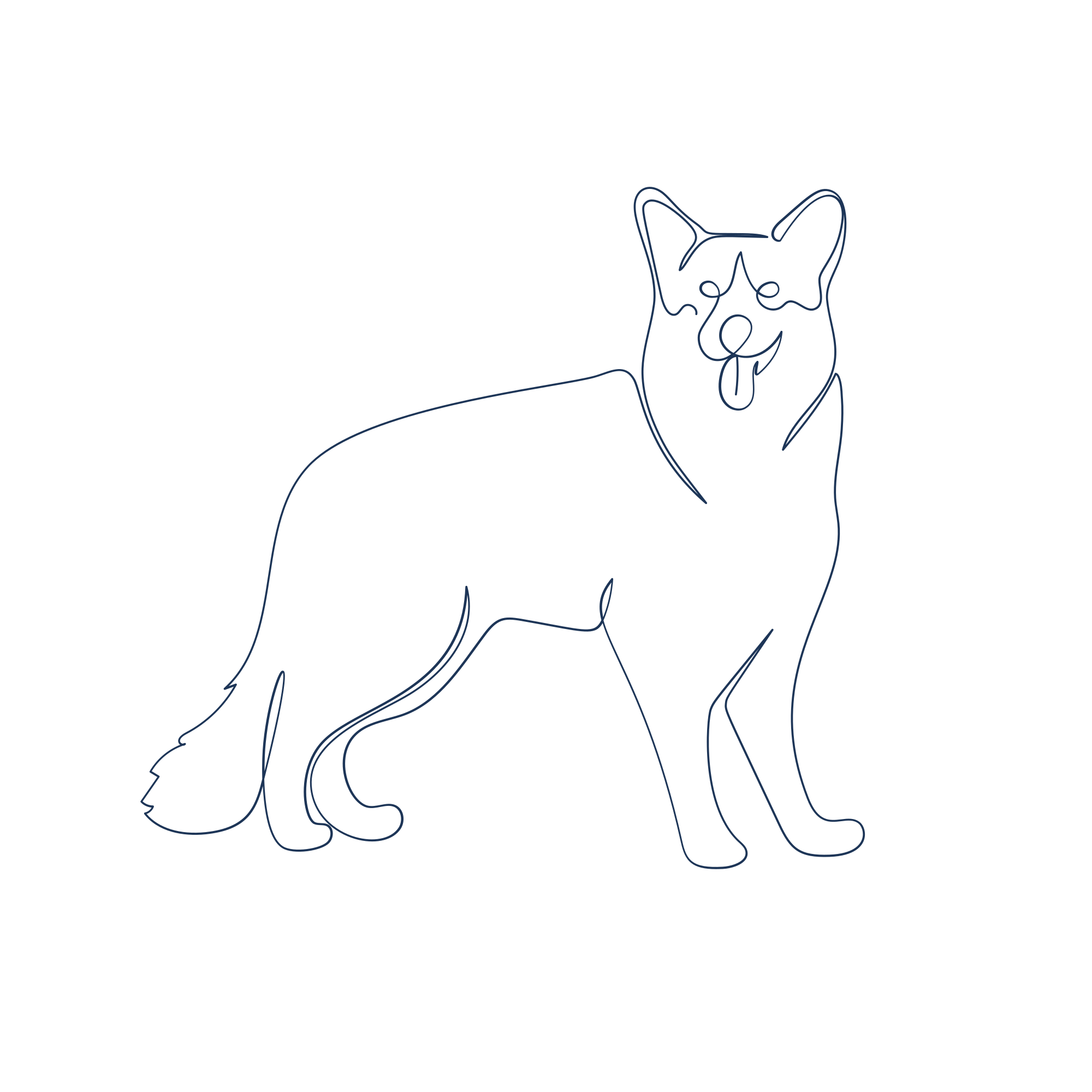 Photo by annamagenta82