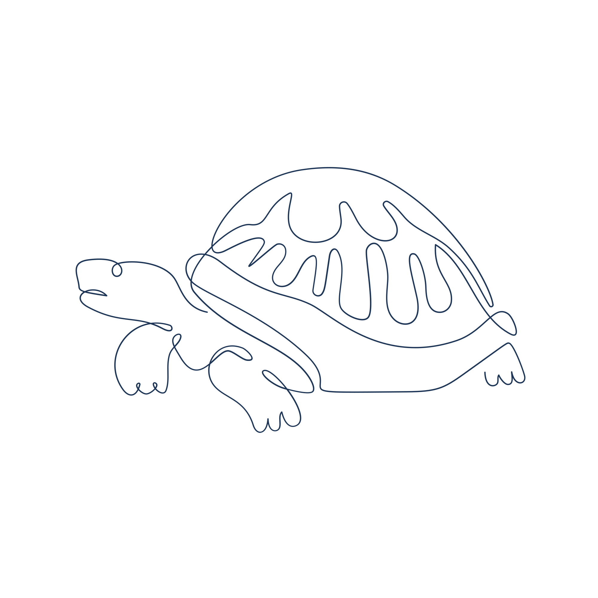 Photo by annamagenta82