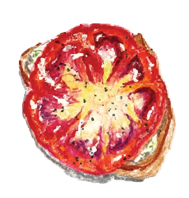 Slice of toast with cream cheese and tomato