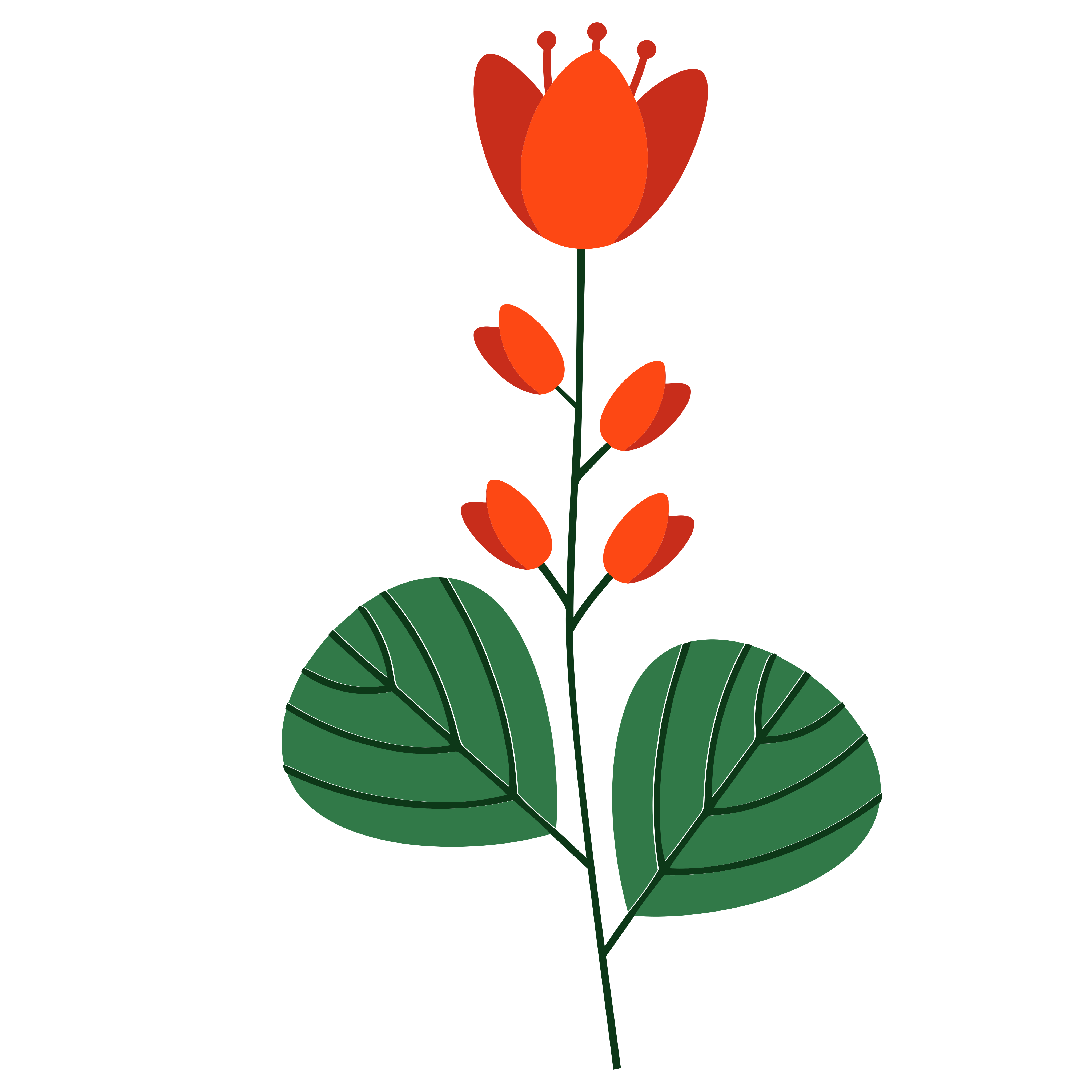 열매와 잎사귀가 초록 꽃 가지를 장식하고 있습니다. 벡터 – Unsplash의 무료 식물 이미지, image size:3000x3000