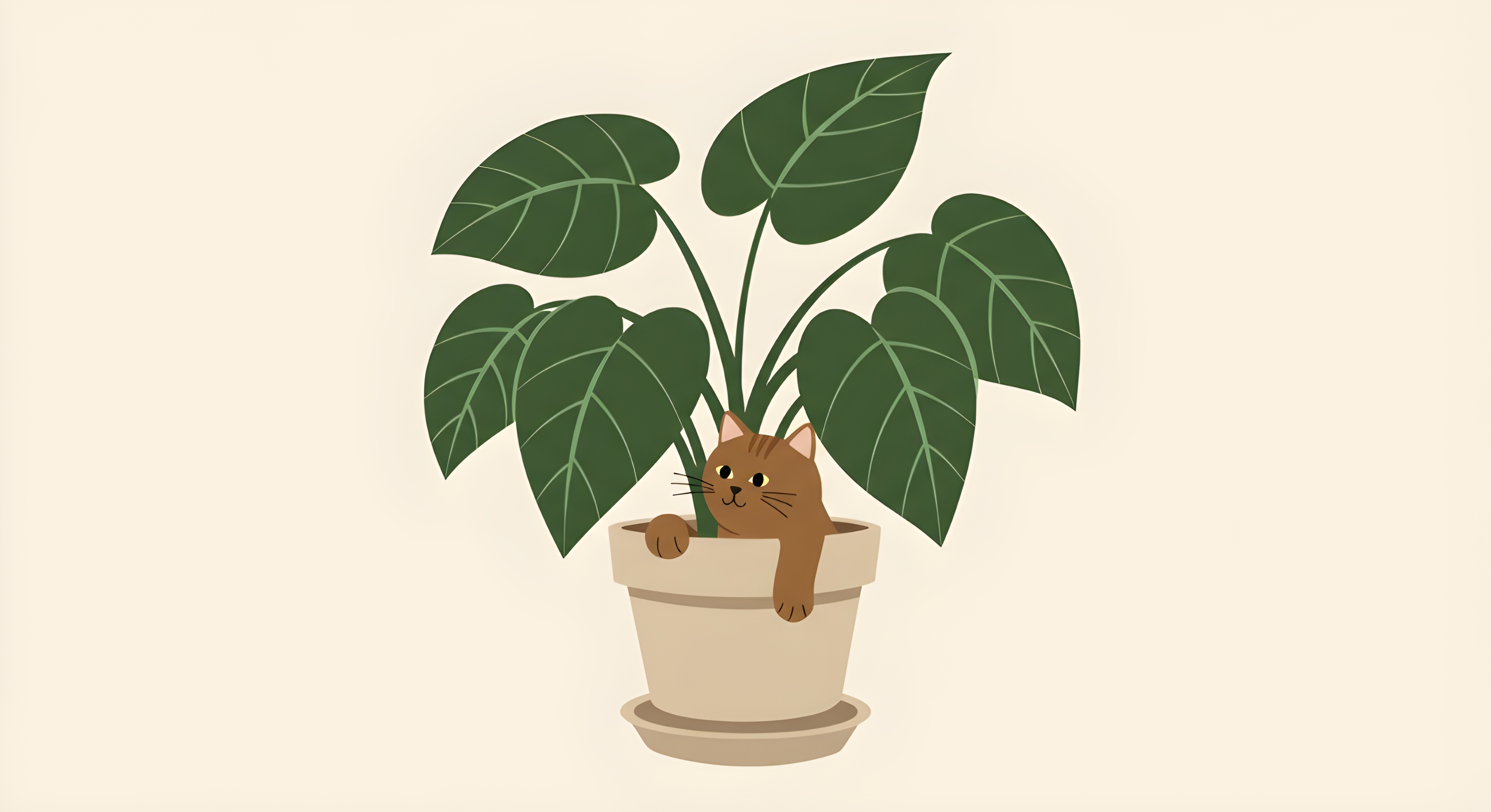 Photo by fezeikahapra