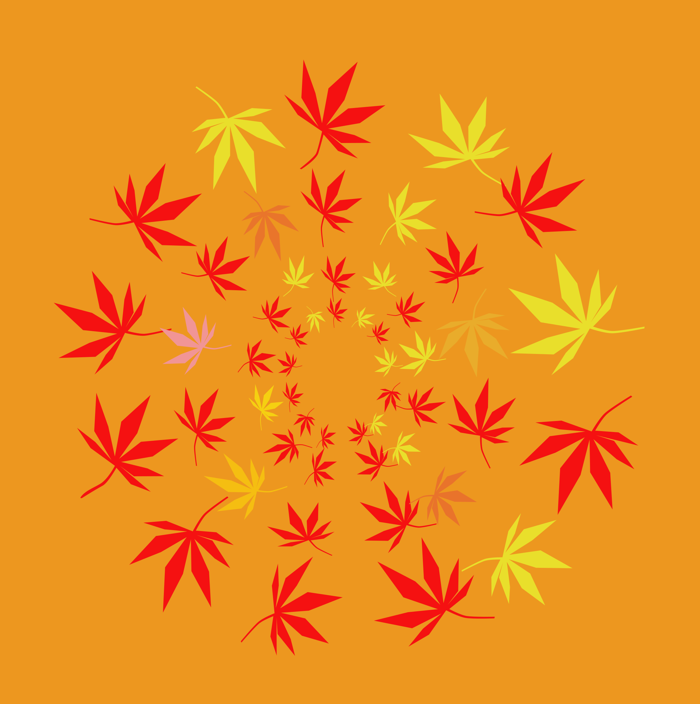 Autumn leaves arranged in a spiral pattern