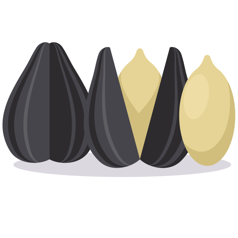 Photo by publicdomainvectors