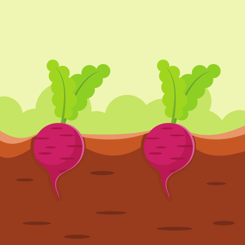 Photo by publicdomainvectors