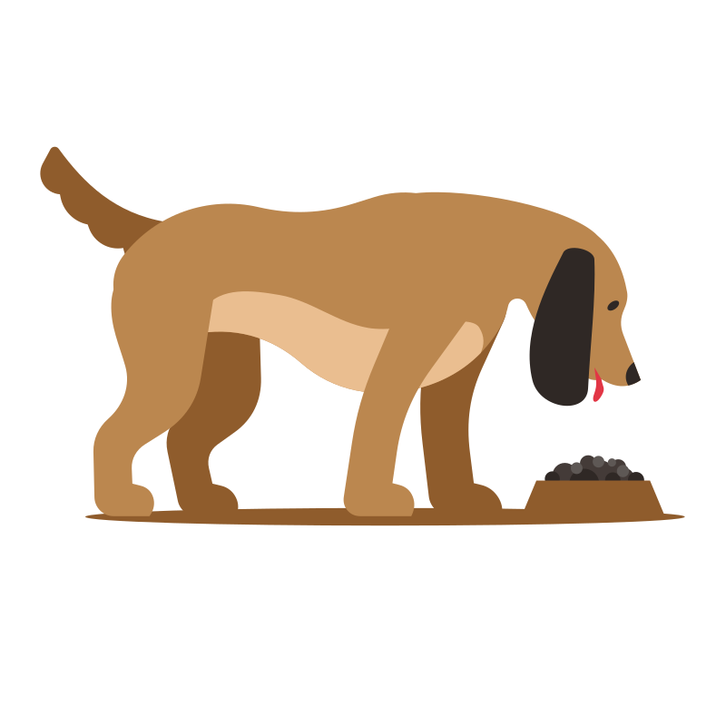 Photo by publicdomainvectors