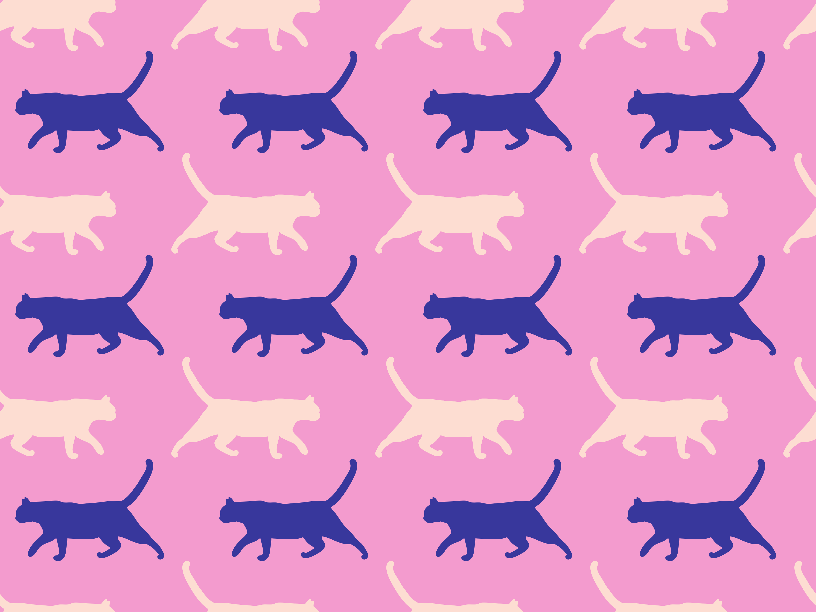 Photo by annamagenta82