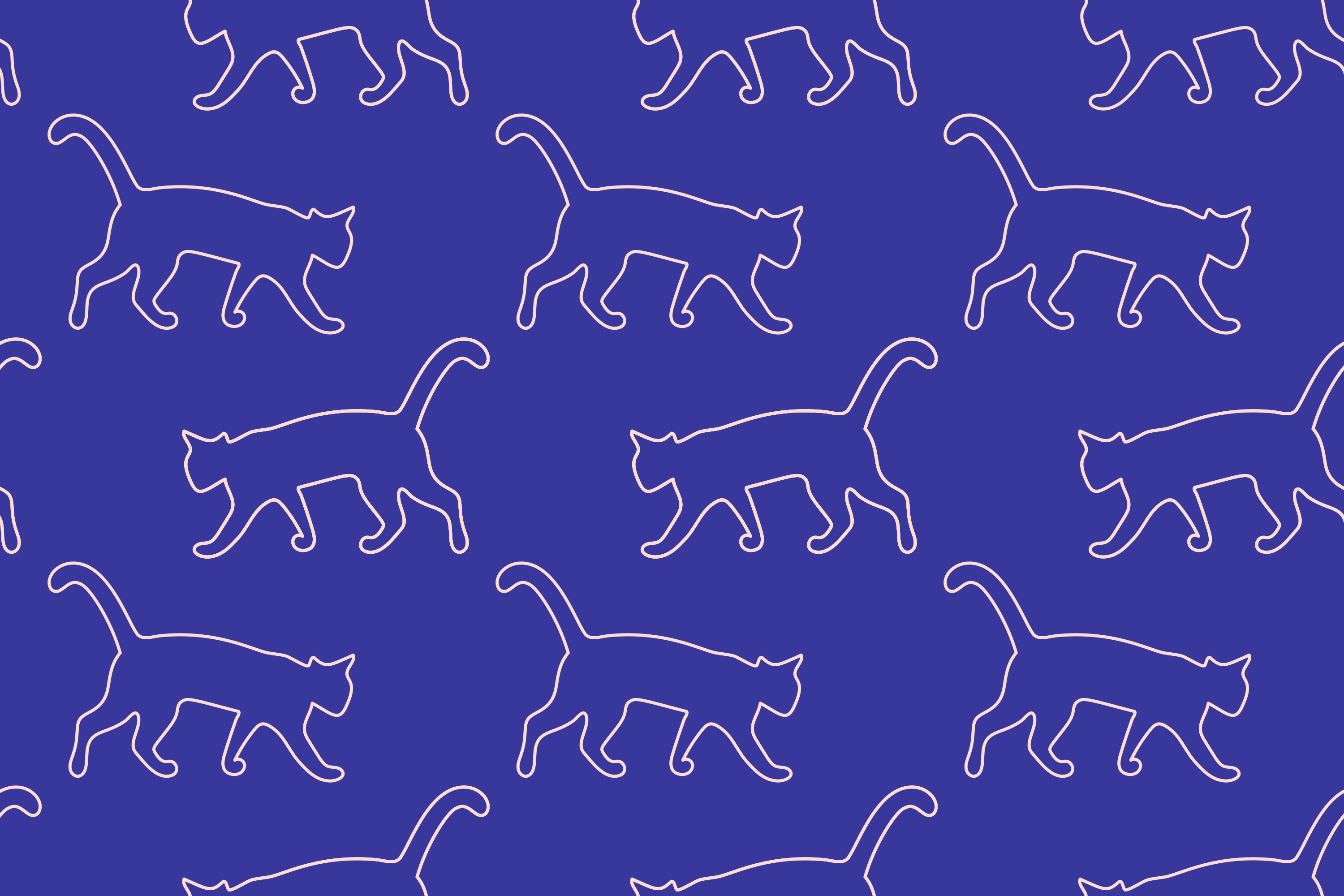 Photo by annamagenta82