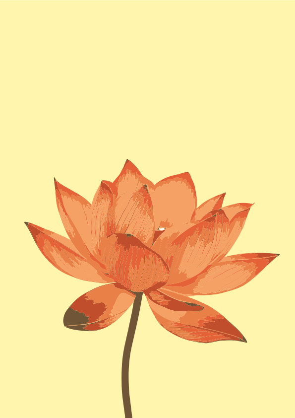 Photo by editographybykinjal