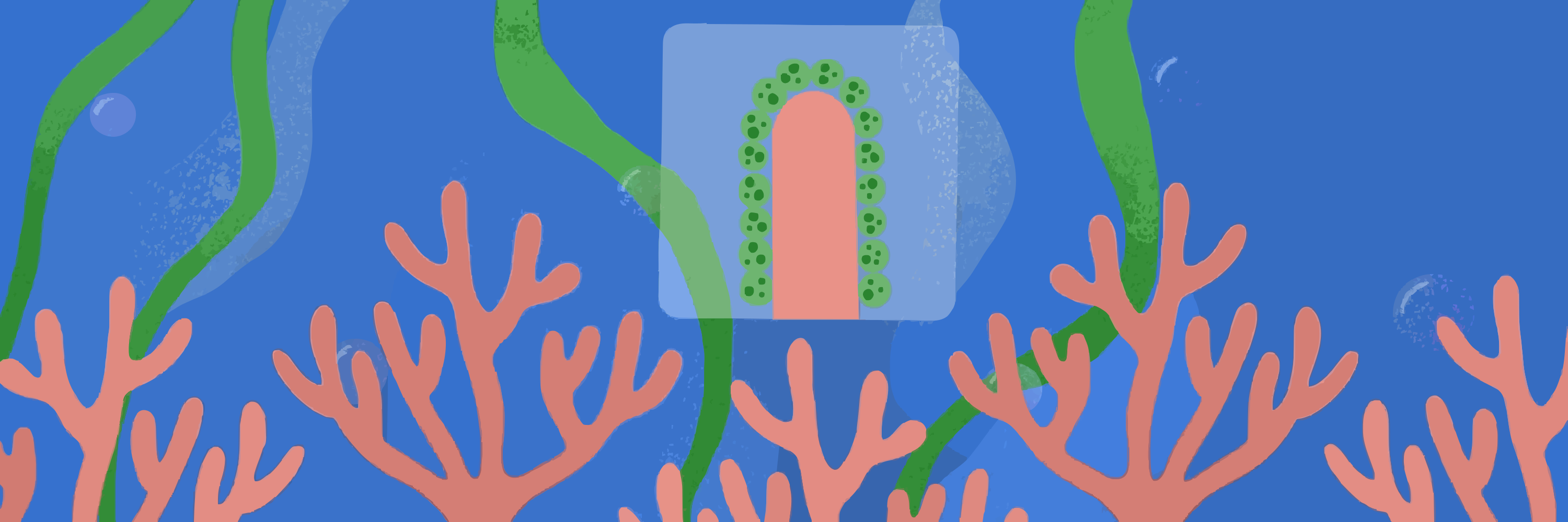 Coral reef with green seaweed and blue background