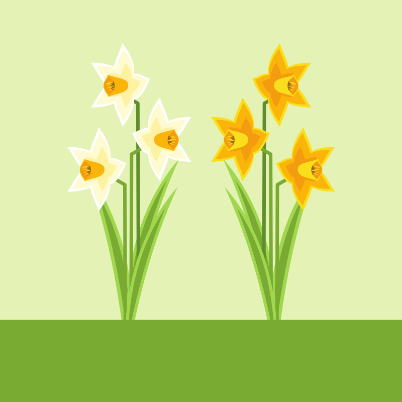 Photo by publicdomainvectors