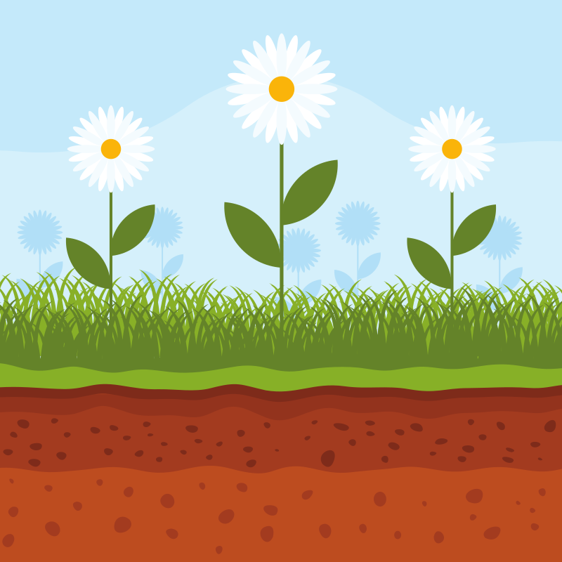 Photo by publicdomainvectors