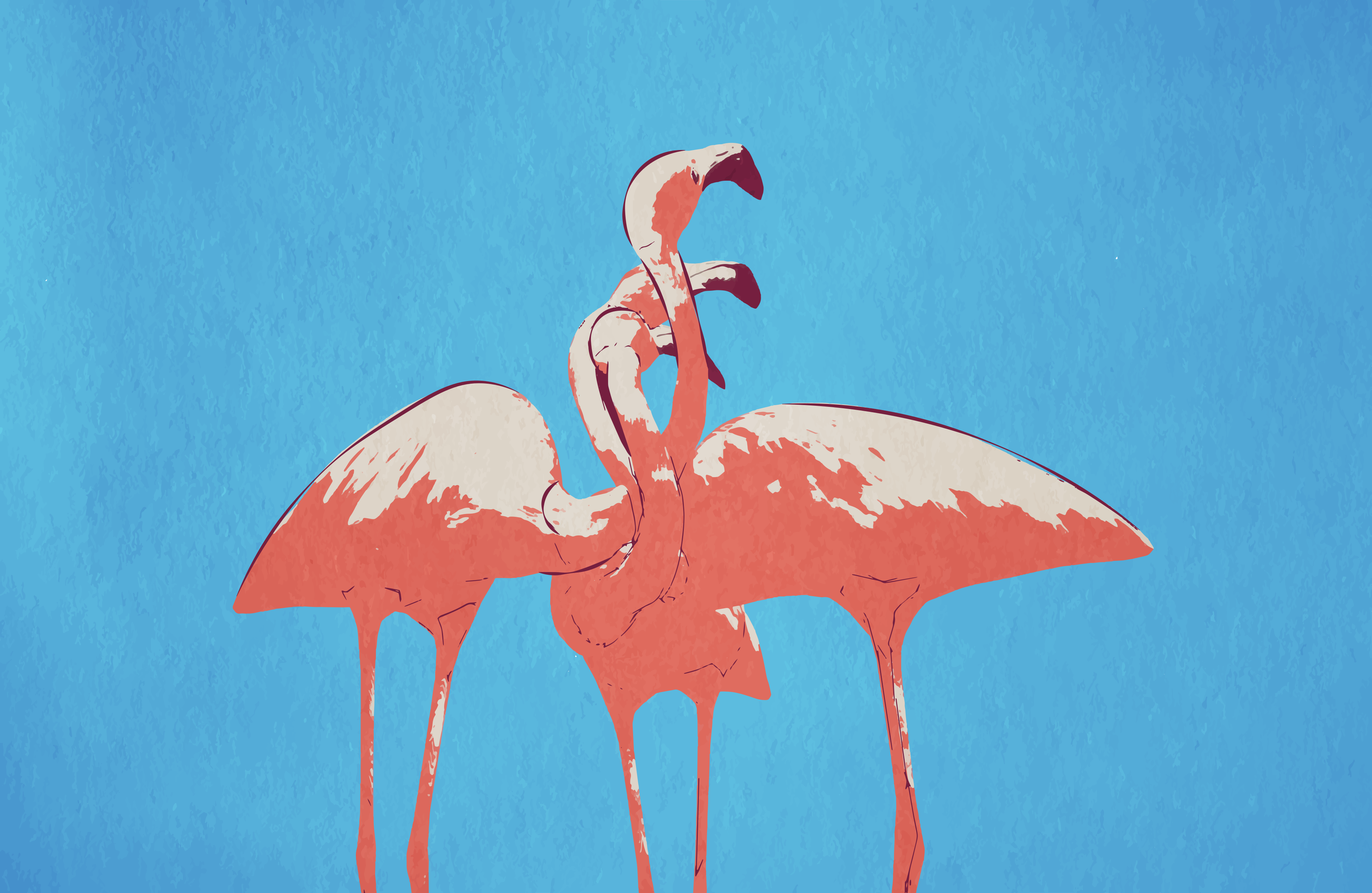 Two flamingos with necks intertwined against blue