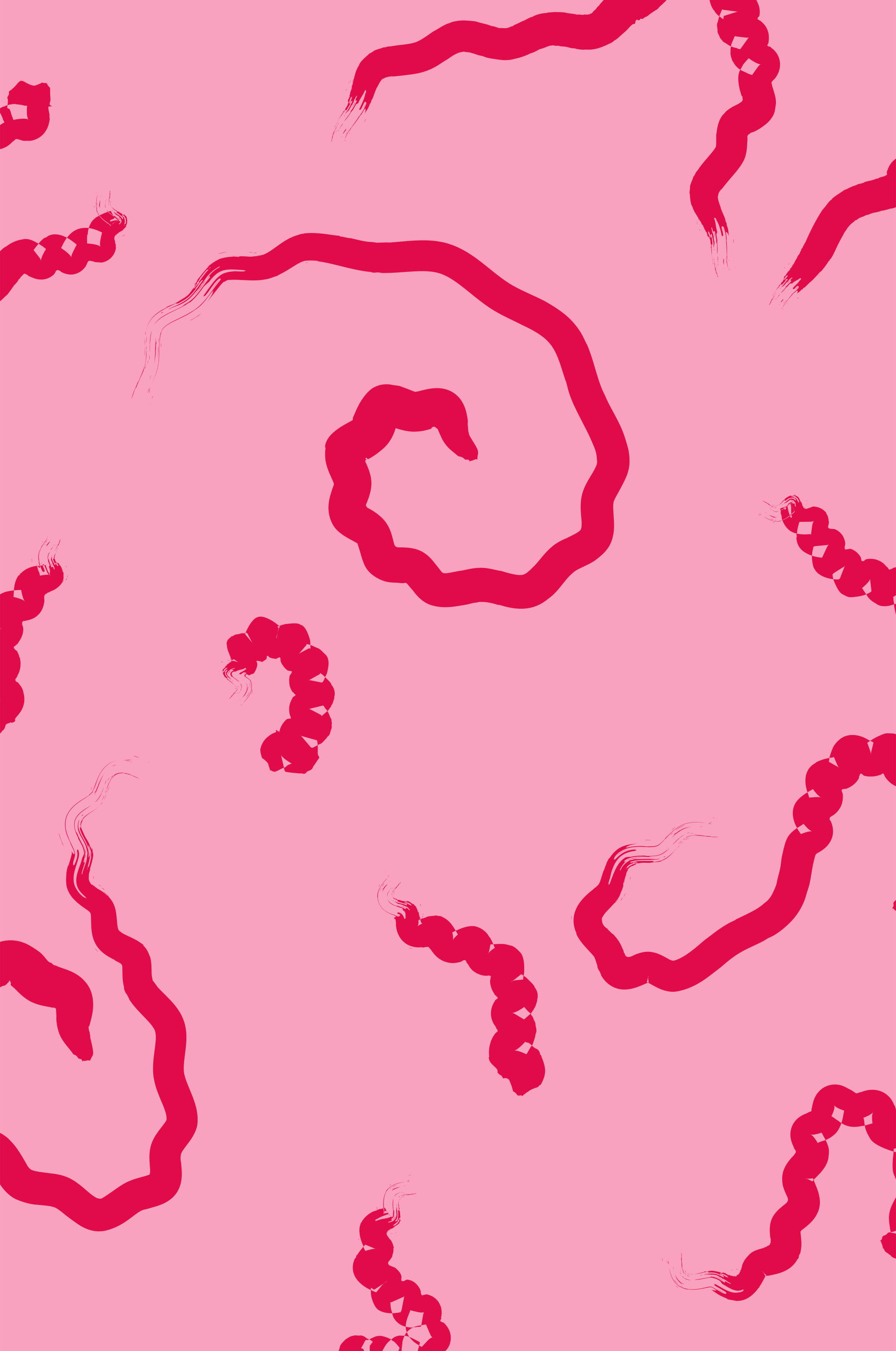 Photo by ummehaniali