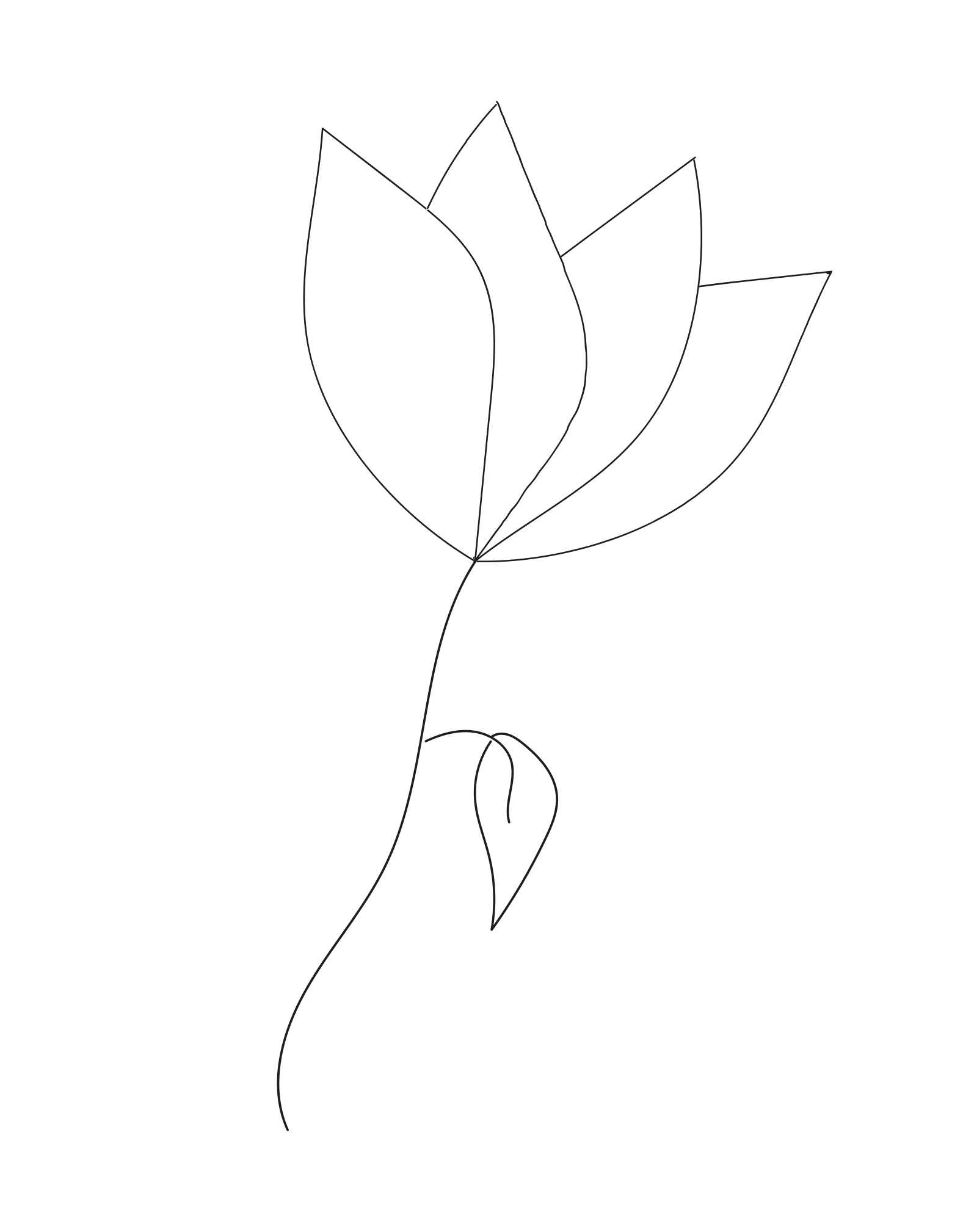 Photo by ummehaniali