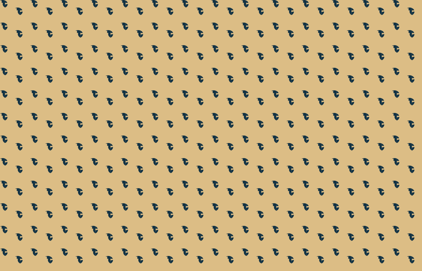 Small black dots arranged in a diagonal pattern.