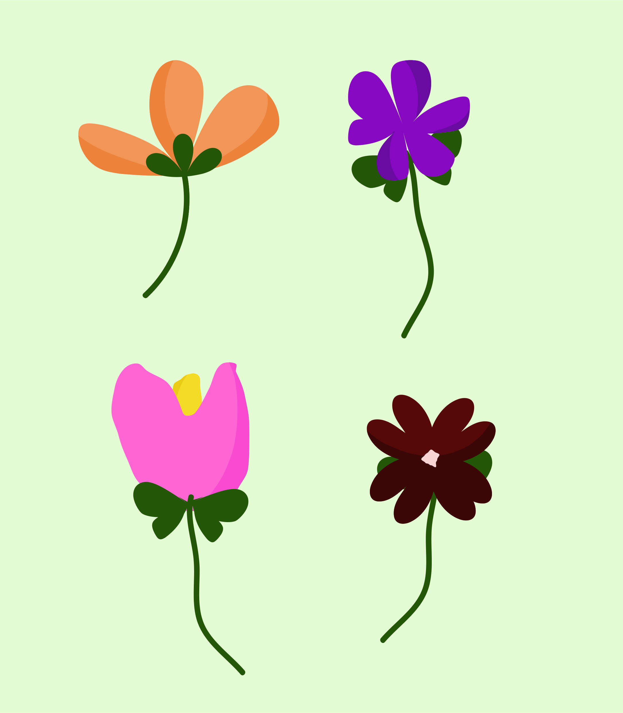 Photo by ummehaniali