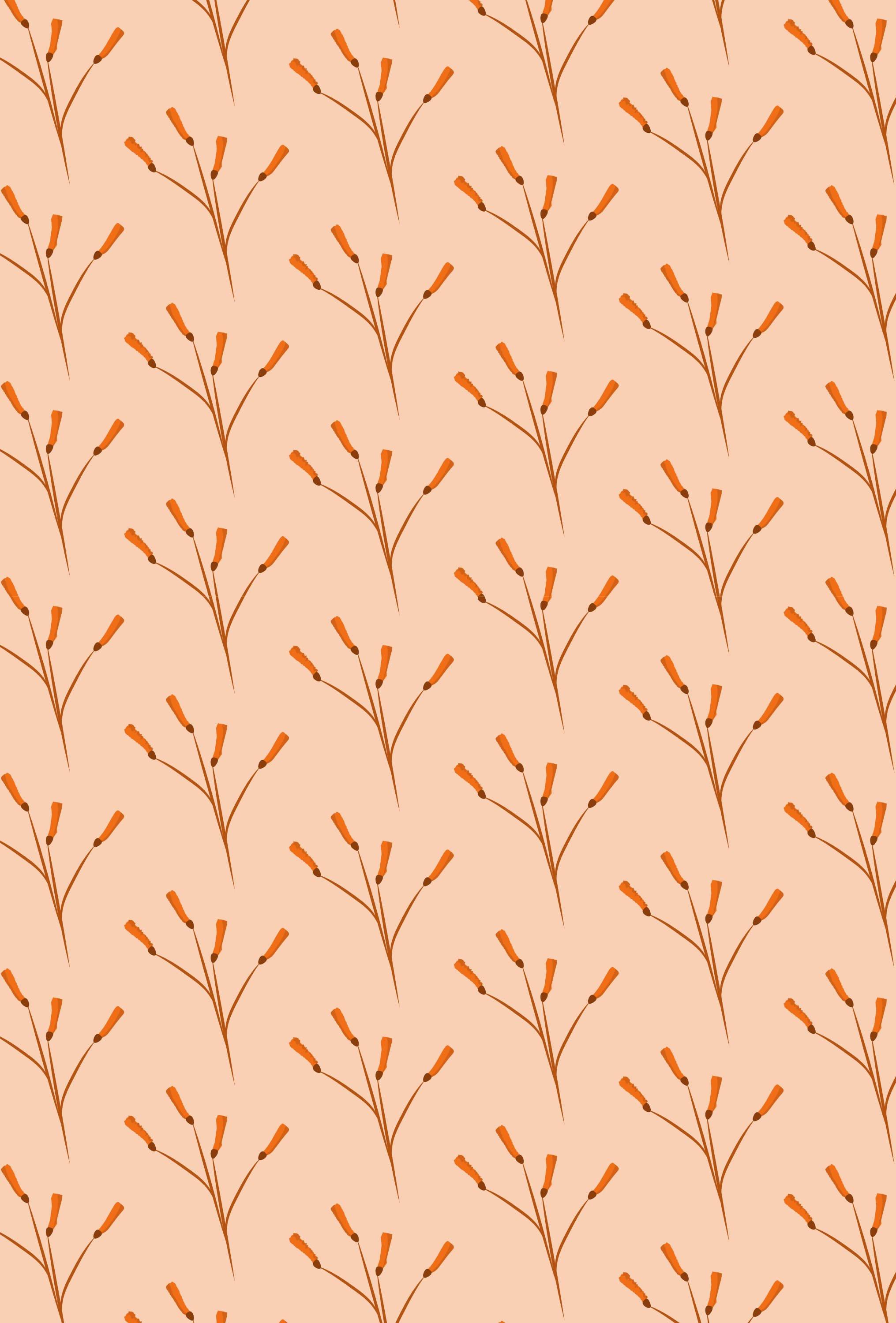 Photo by ummehaniali