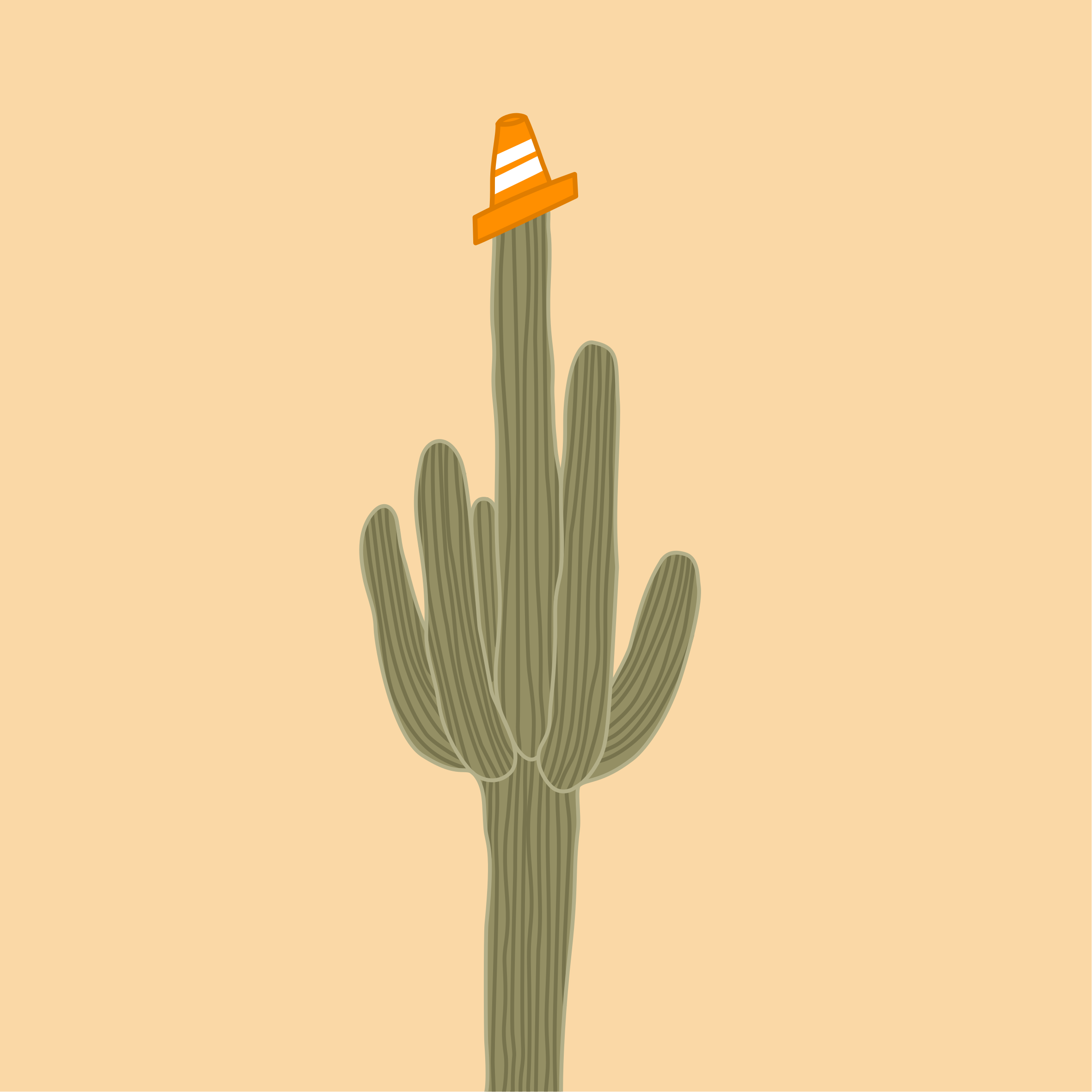 Photo by spaceboundstudio