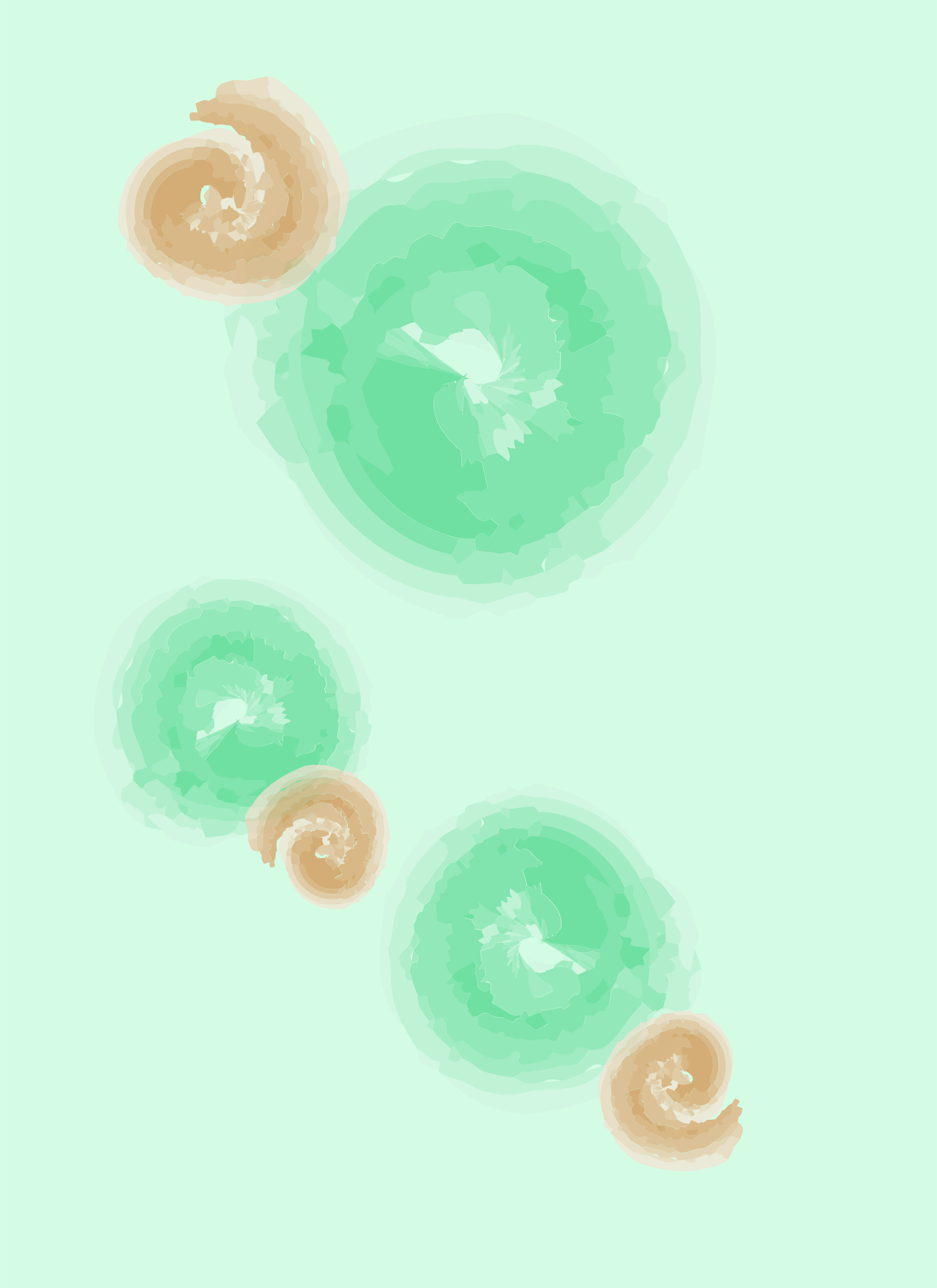 Photo by ummehaniali