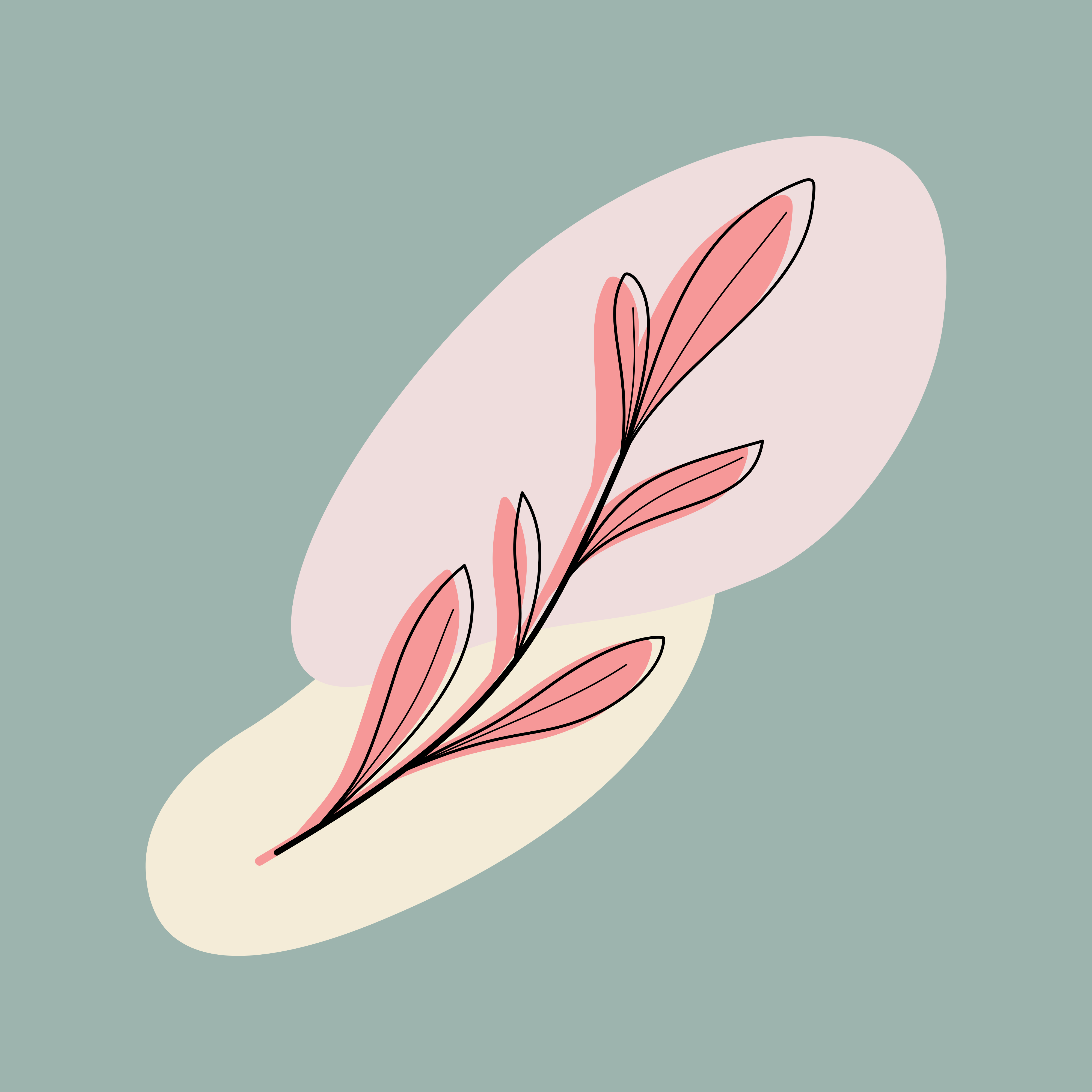 Photo by gridverselabs