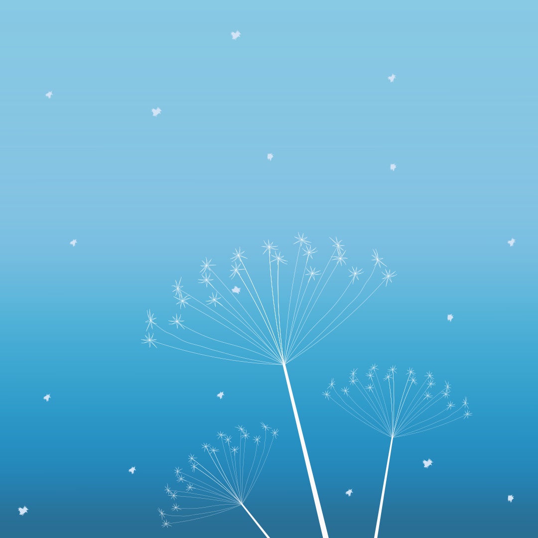 Photo by draw_chicken