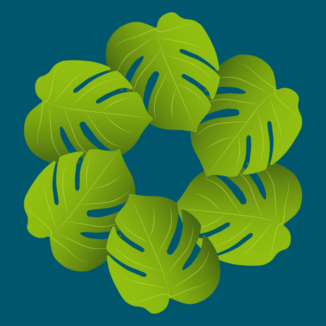 Green monstera leaves arranged in a circle.
