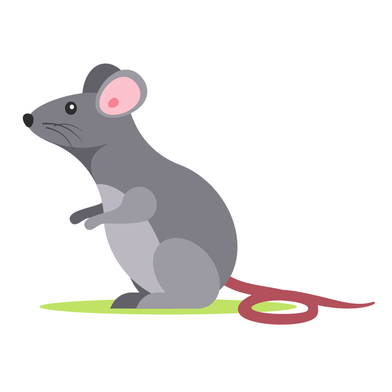 Photo by publicdomainvectors