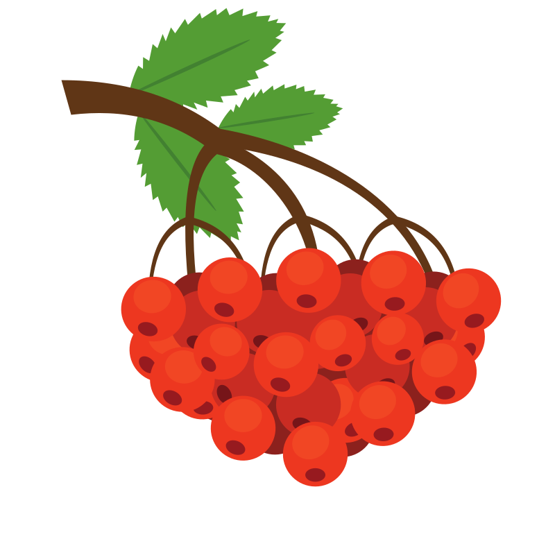 Photo by publicdomainvectors