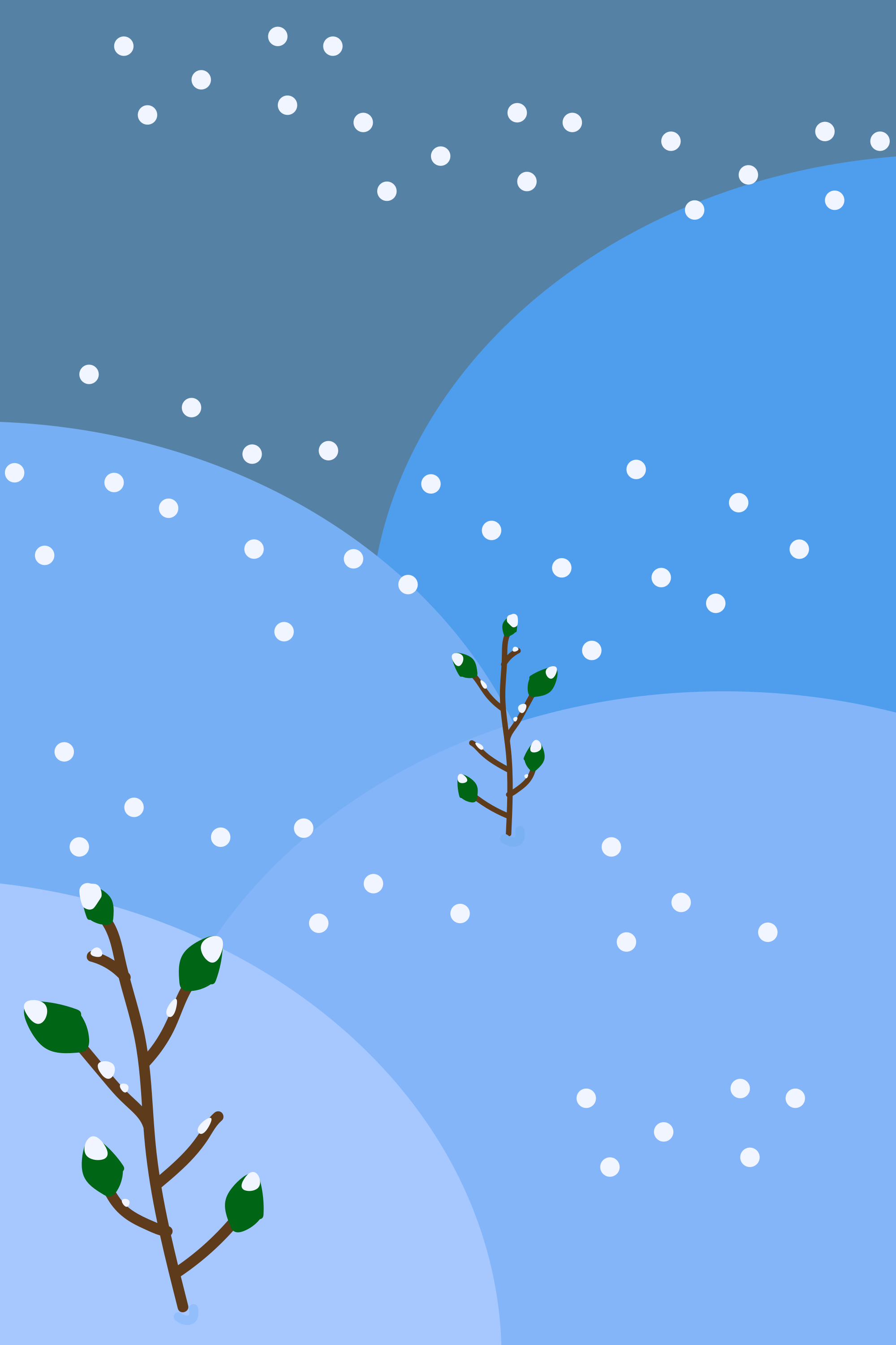 Photo by ummehaniali