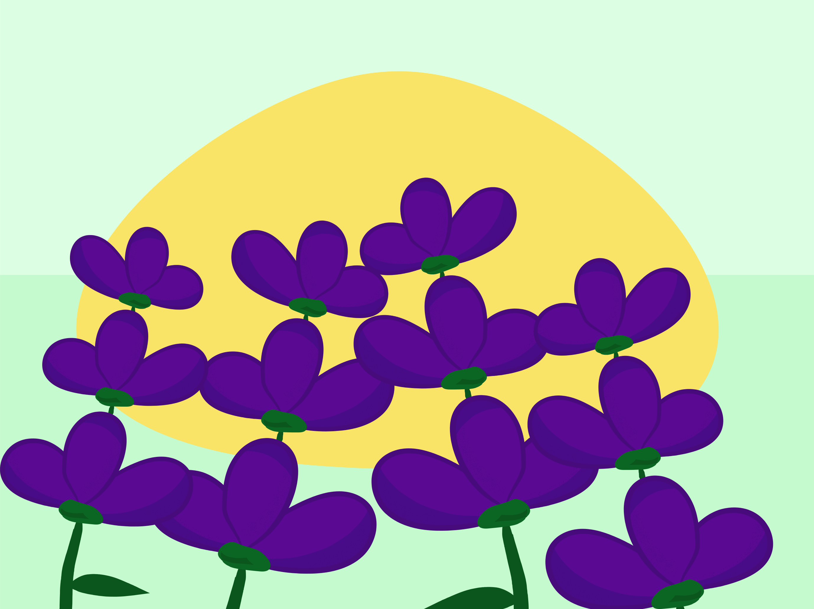 Photo by ummehaniali