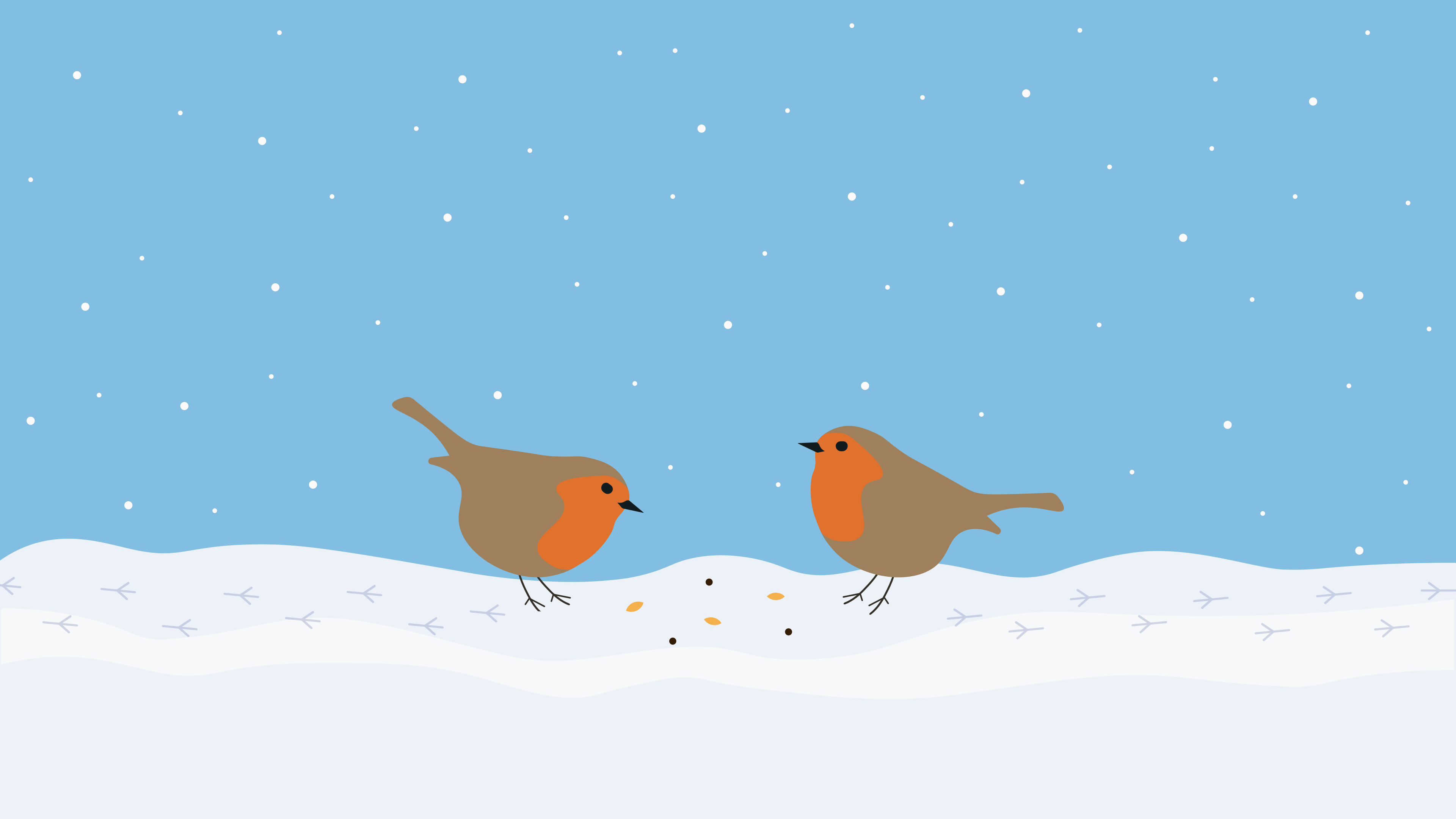 Deux rouges-gorges mangeant des graines dans la neige