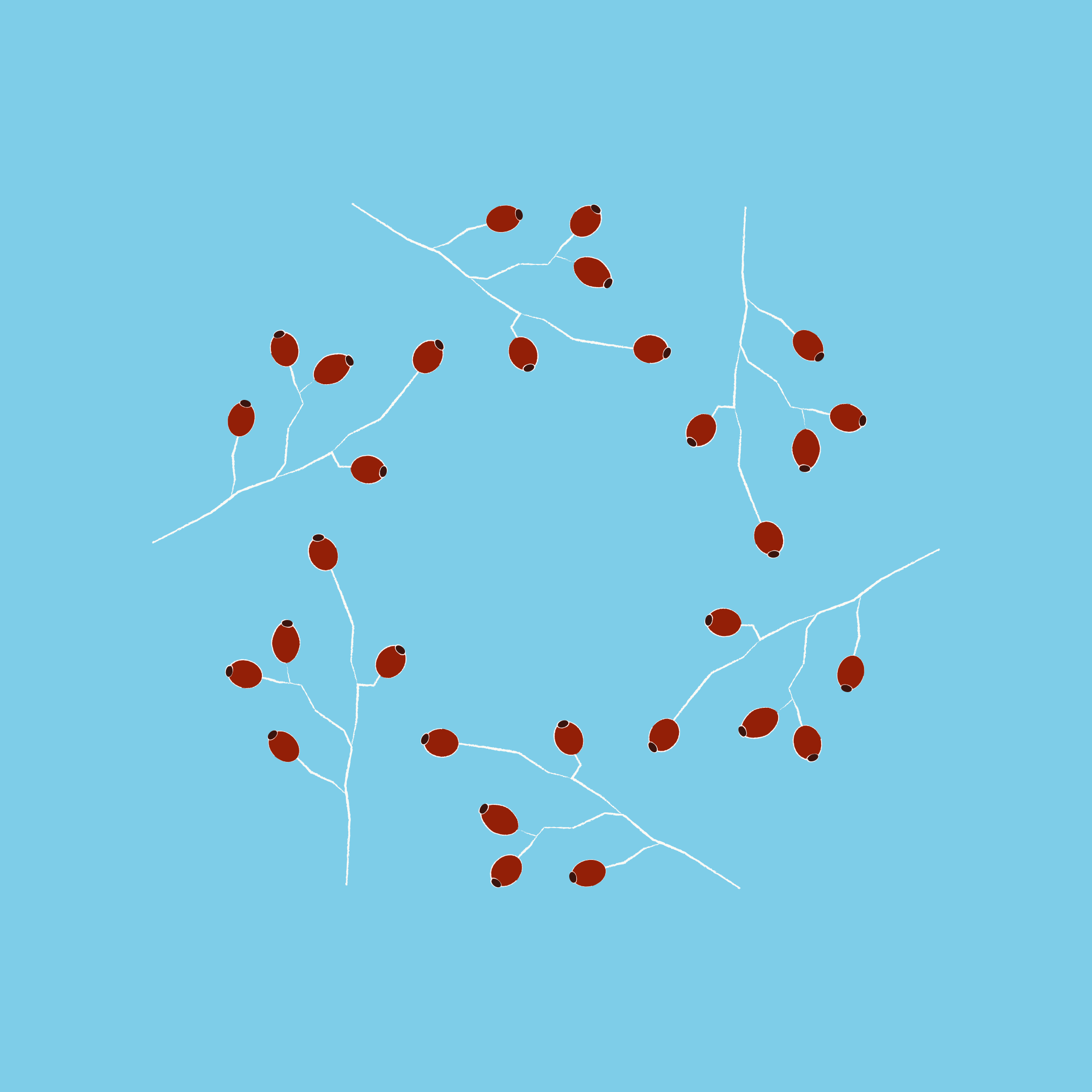 Photo by draw_chicken