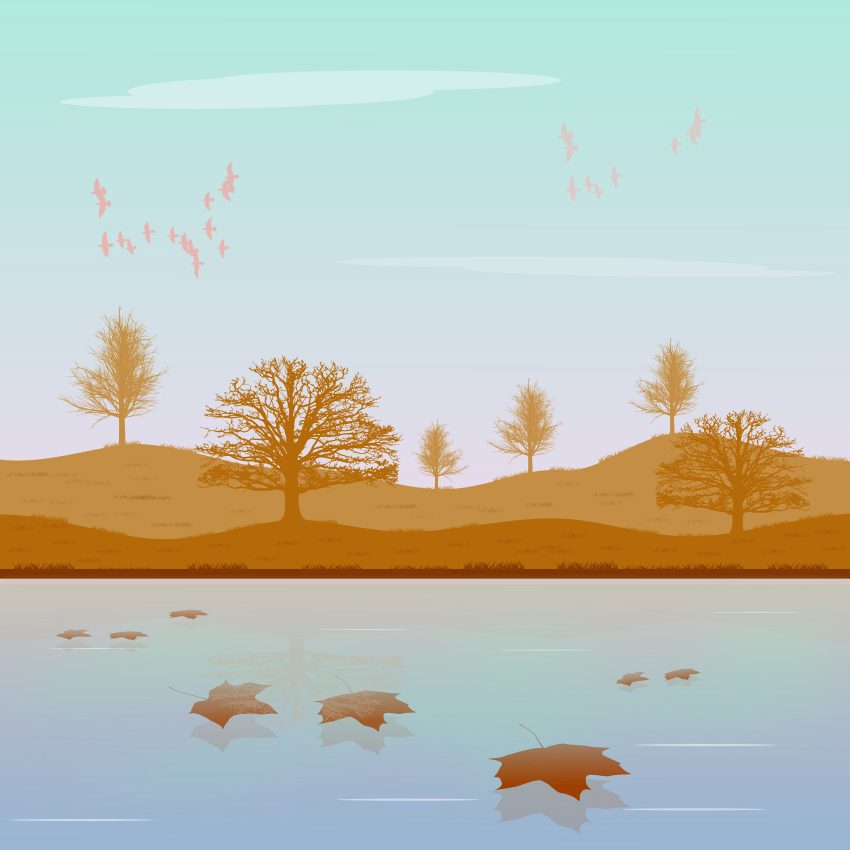 Photo by gabrieleromanoy