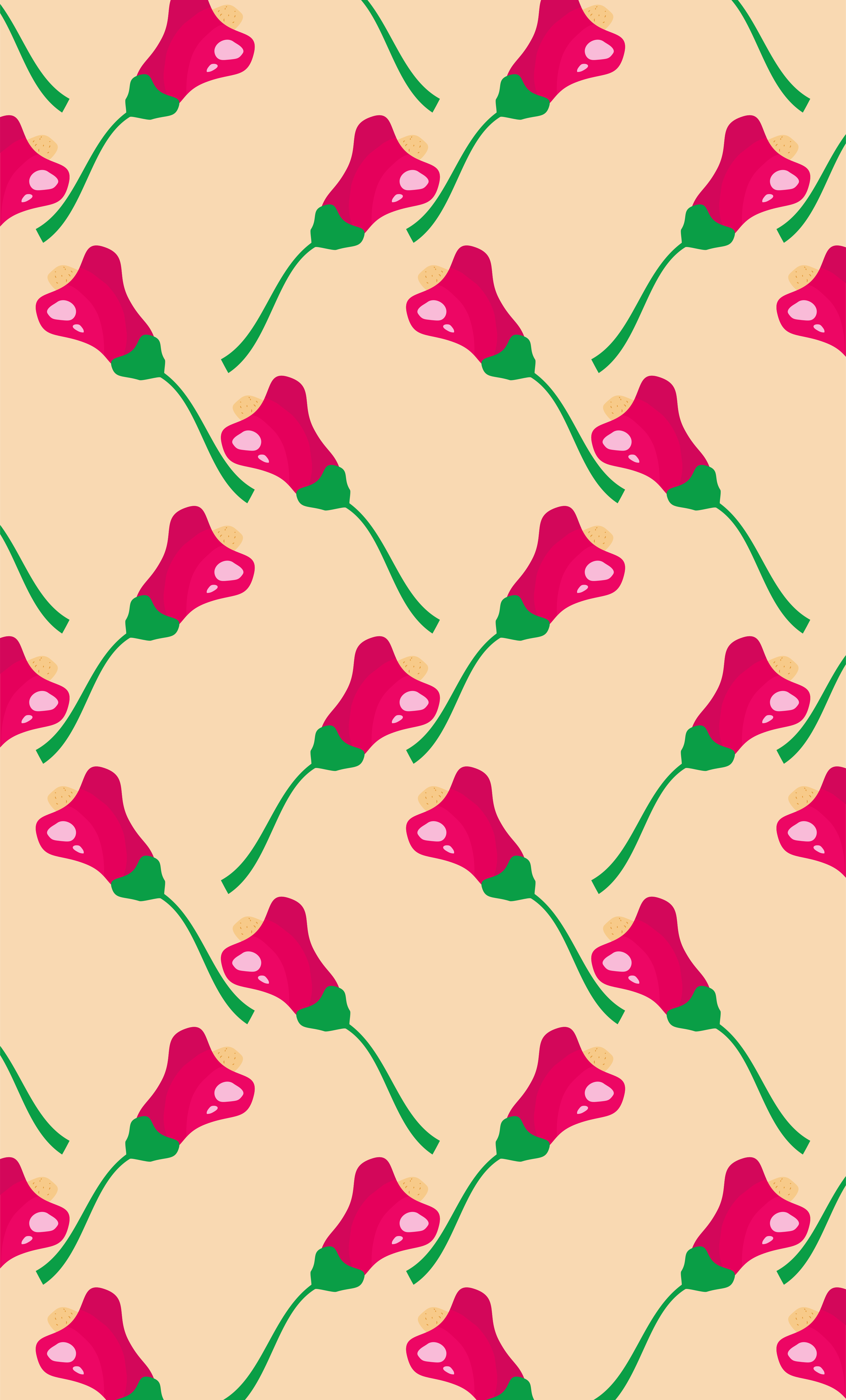 Photo by ummehaniali