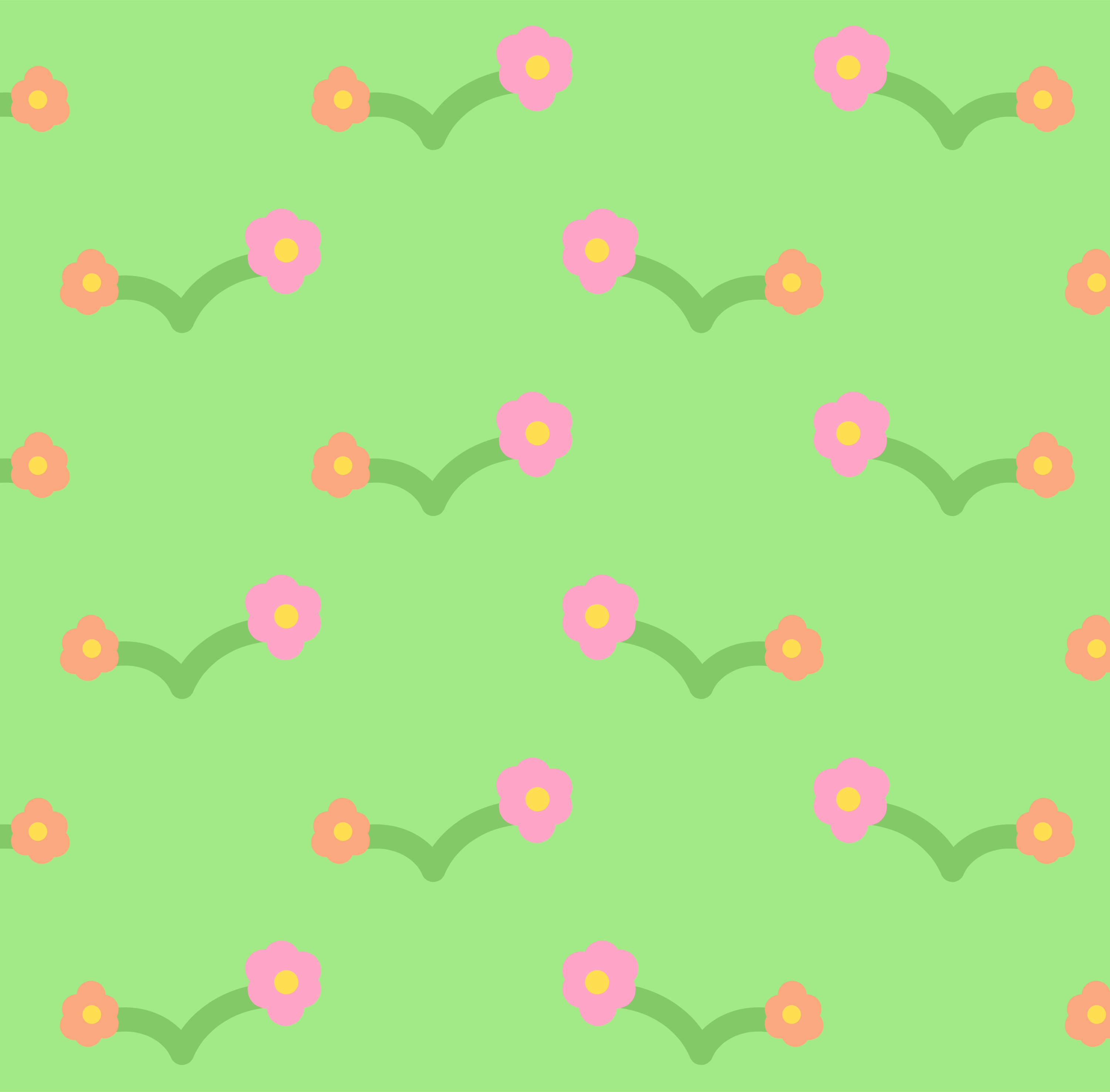 Photo by ummehaniali