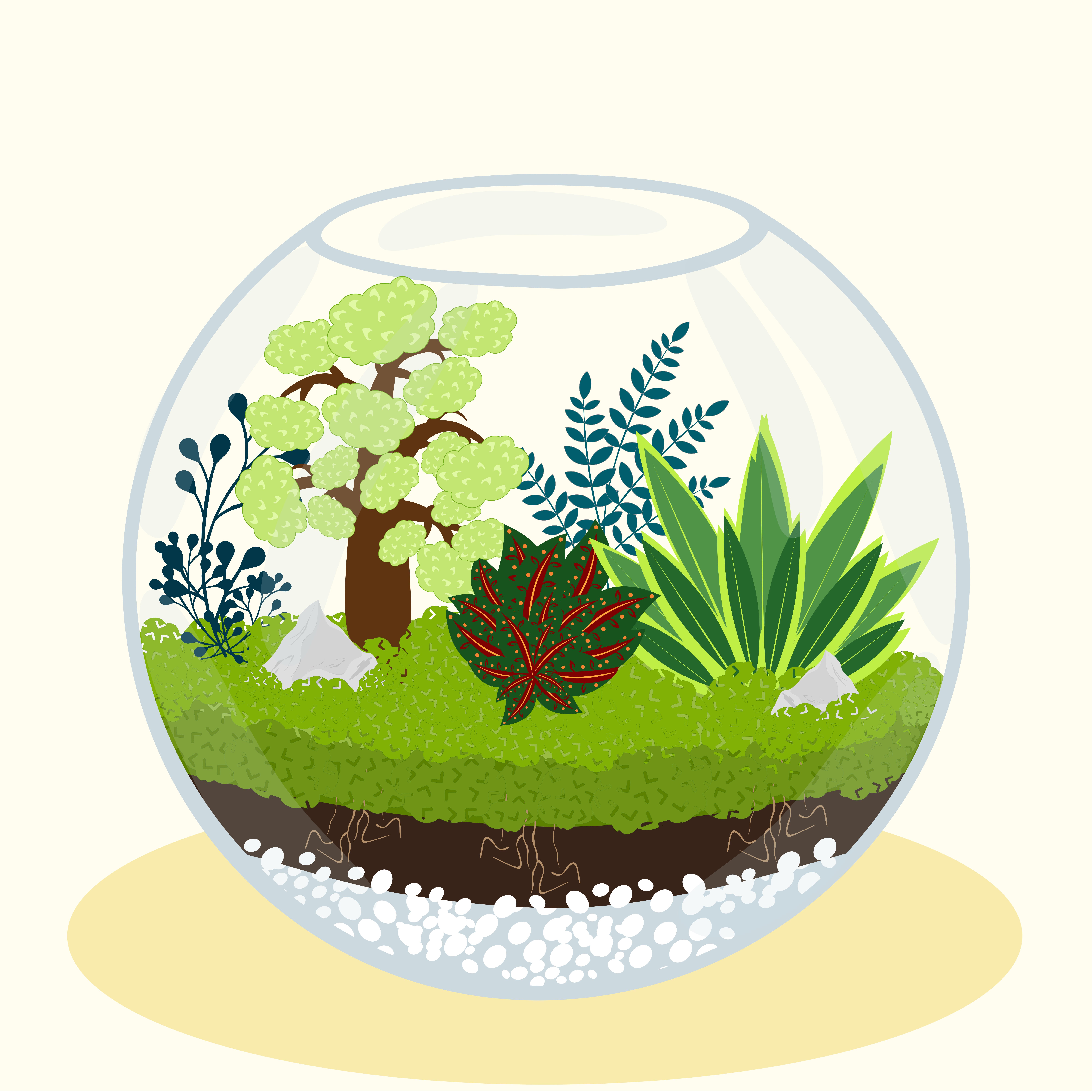 Ein Miniatur-Ökosystem in einer Glasschale mit Pflanzen.