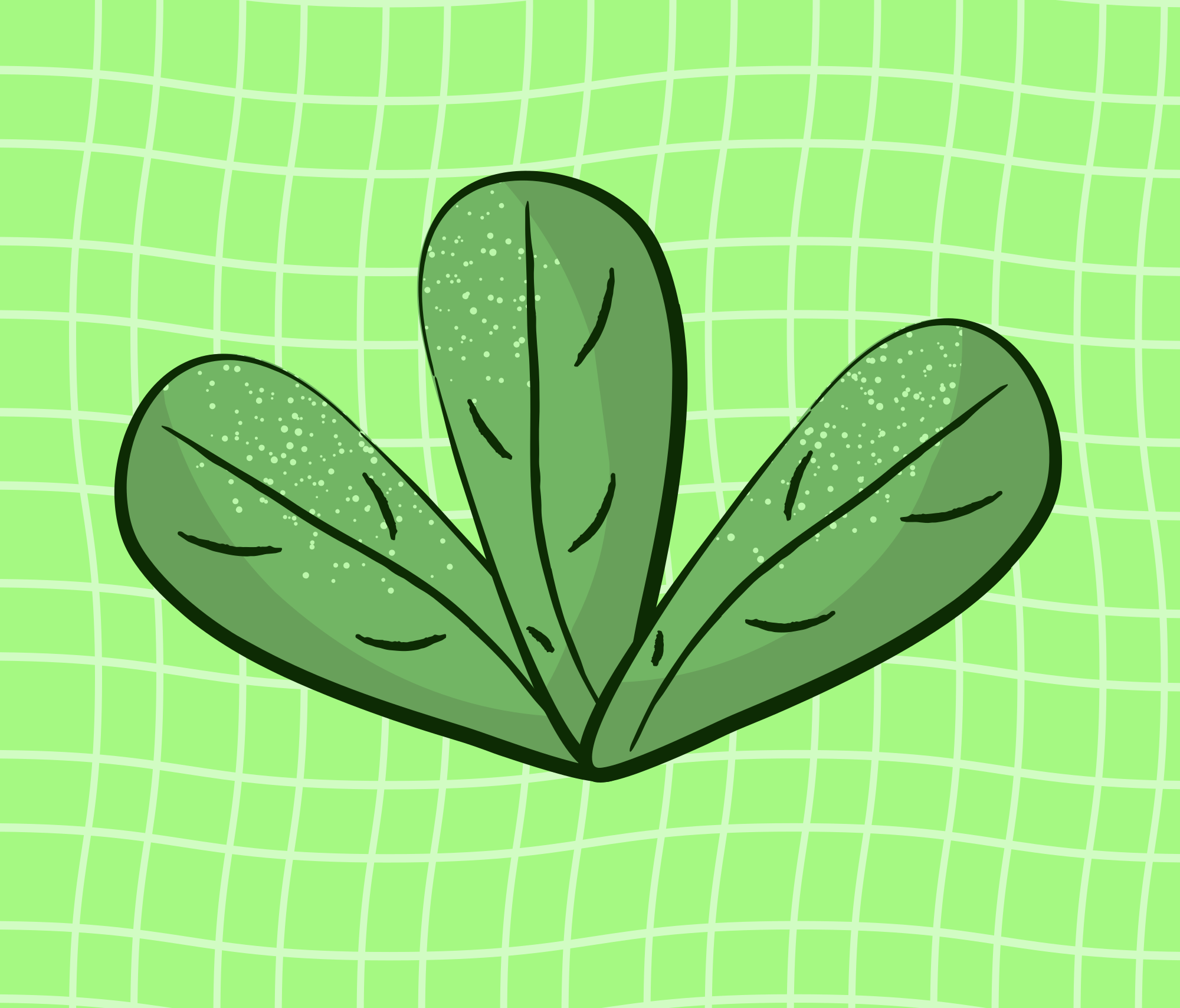Green plant with three leaves on a grid background